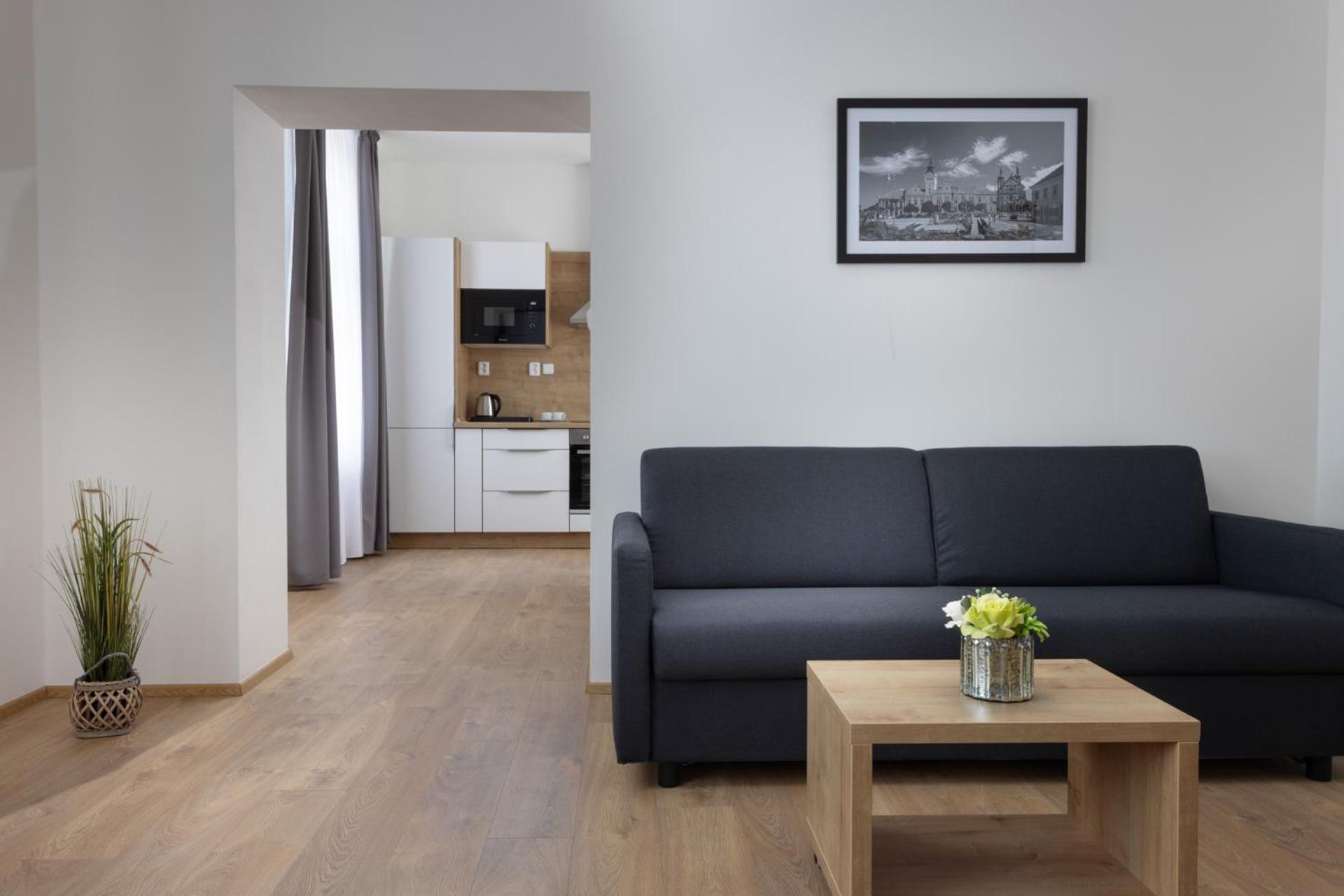 Deluxe Three-bedroom Apartment with Kitchen