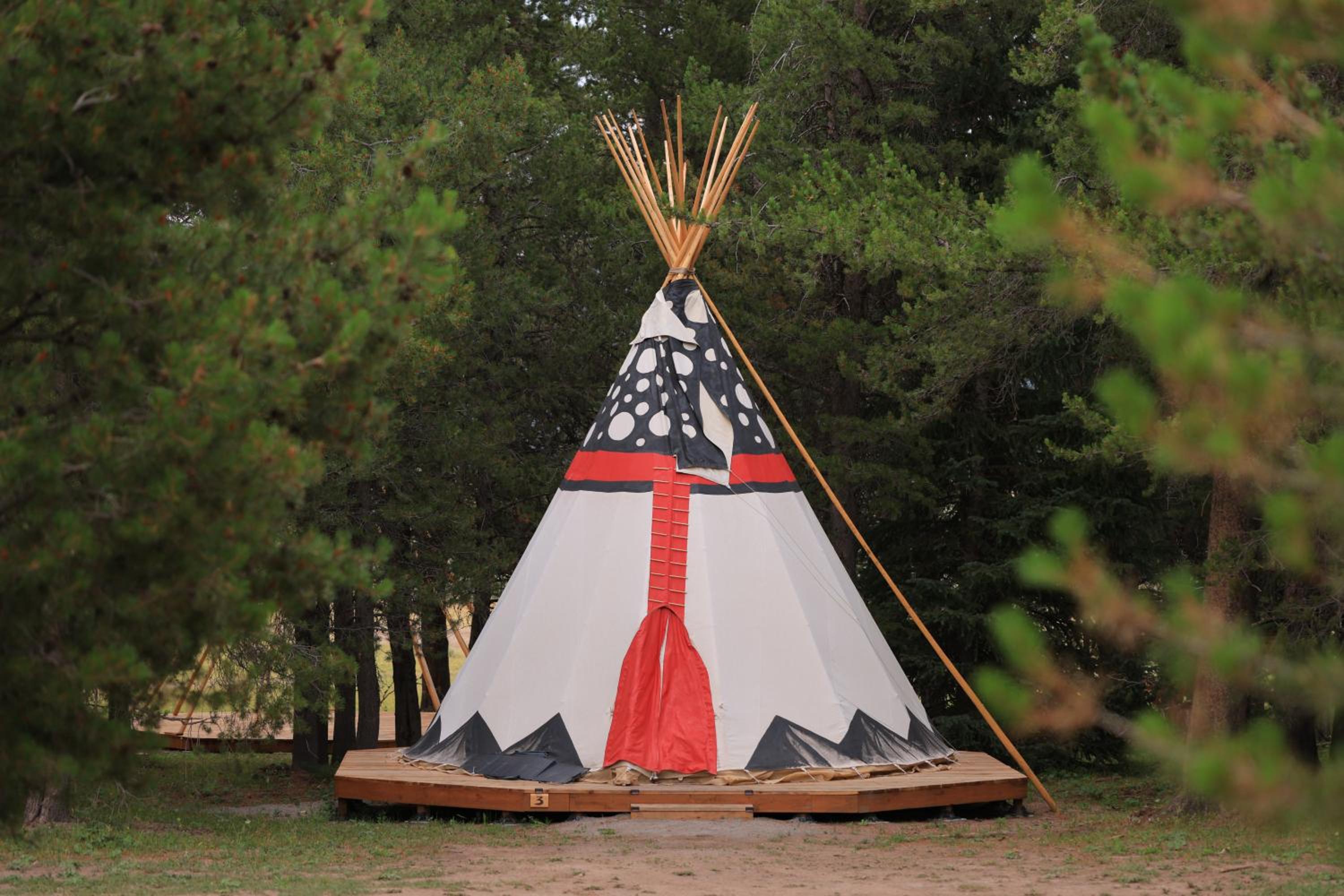 Yellowstone Luxury Tepee - Photo 2