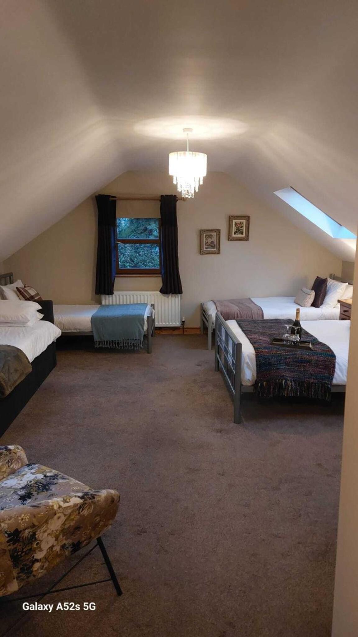 Deluxe Family Room photo 2