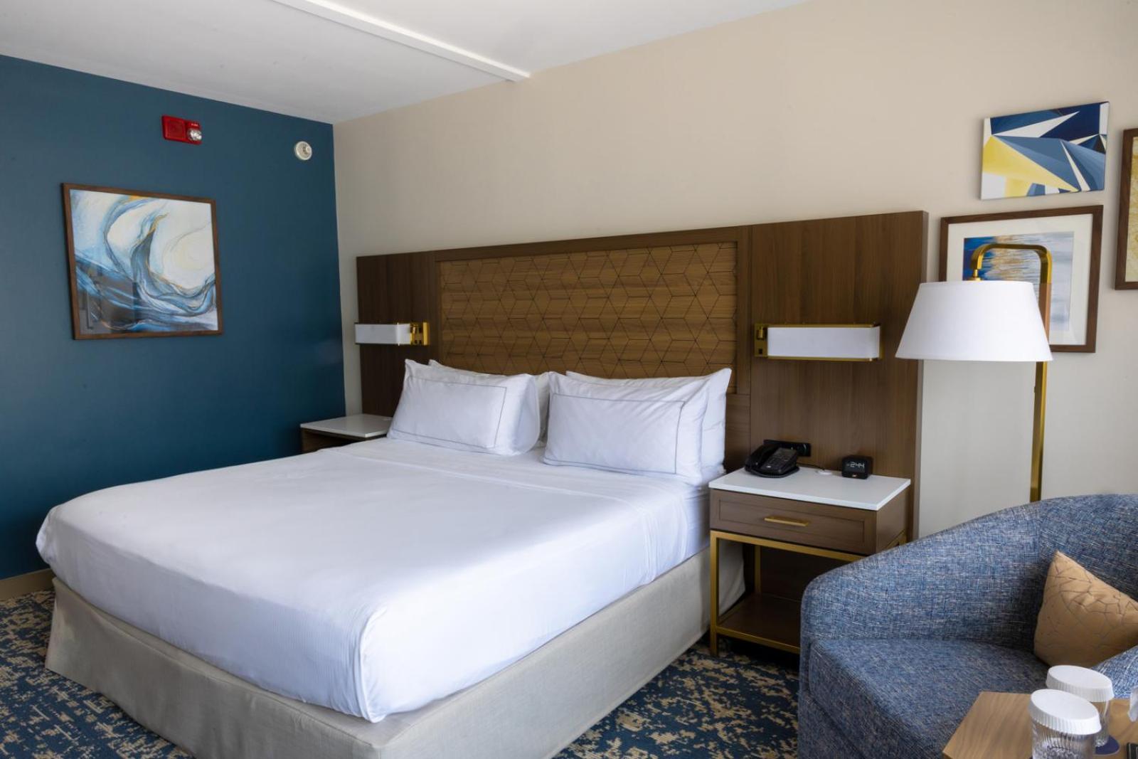 King Room with Bath Tub - Mobility Access - Photo 15
