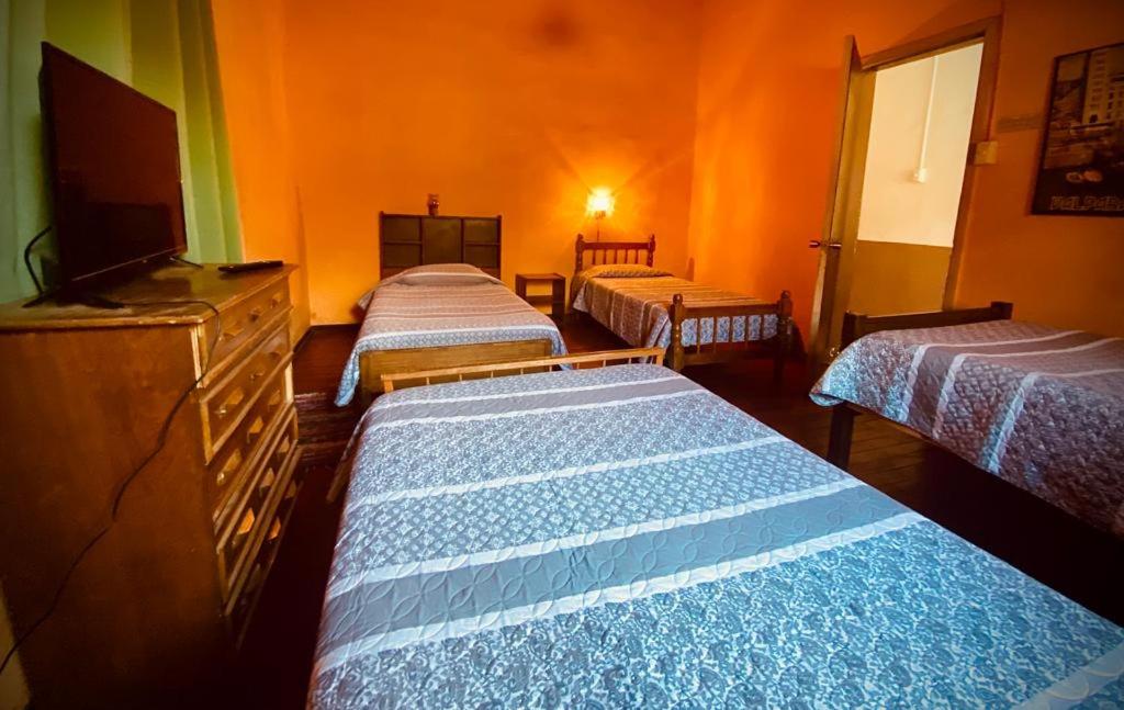Economy Quadruple Room with Shared Bathroom photo 1