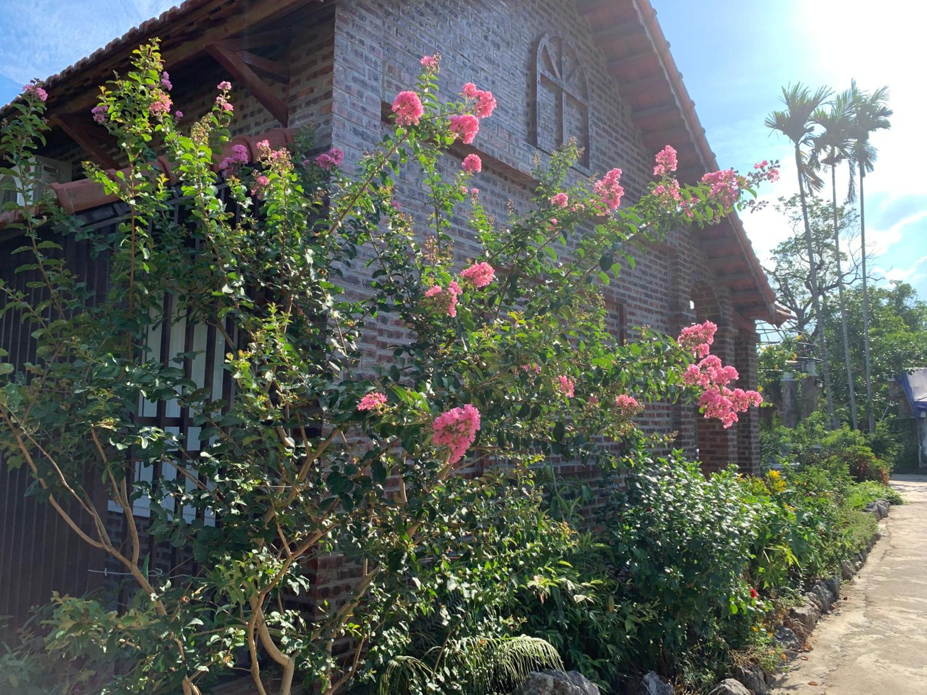 Family Bungalow photo 2