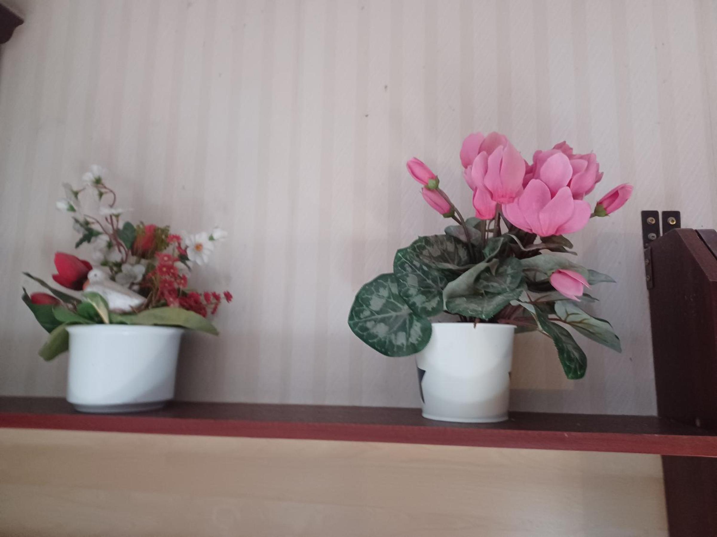 Single Room with Garden View photo 3