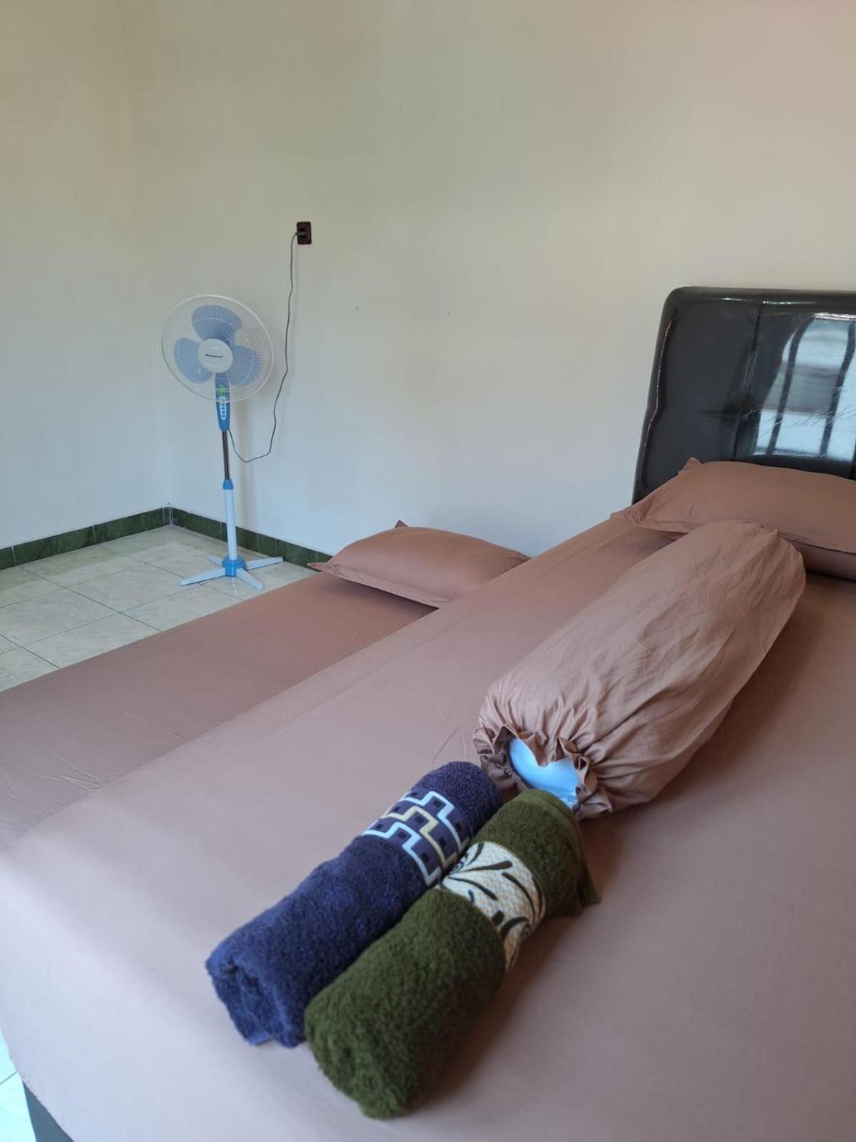 Twin Room photo 1