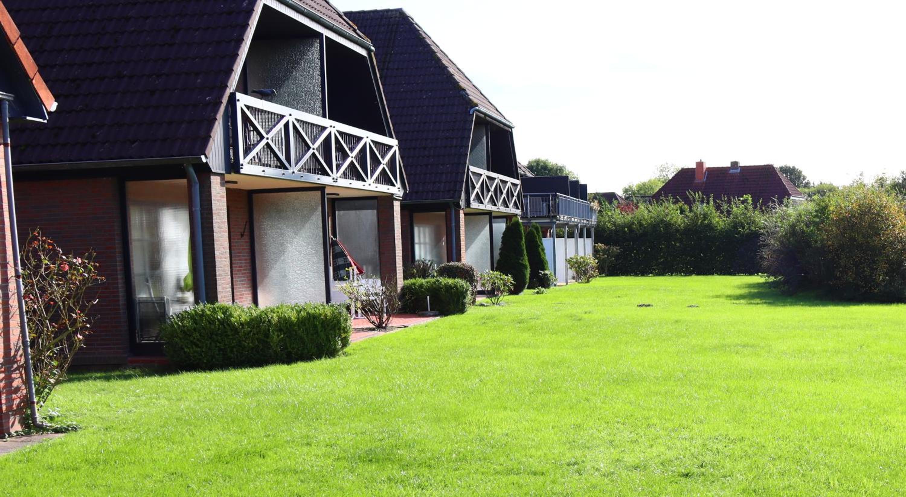Apartment with Terrace photo 2