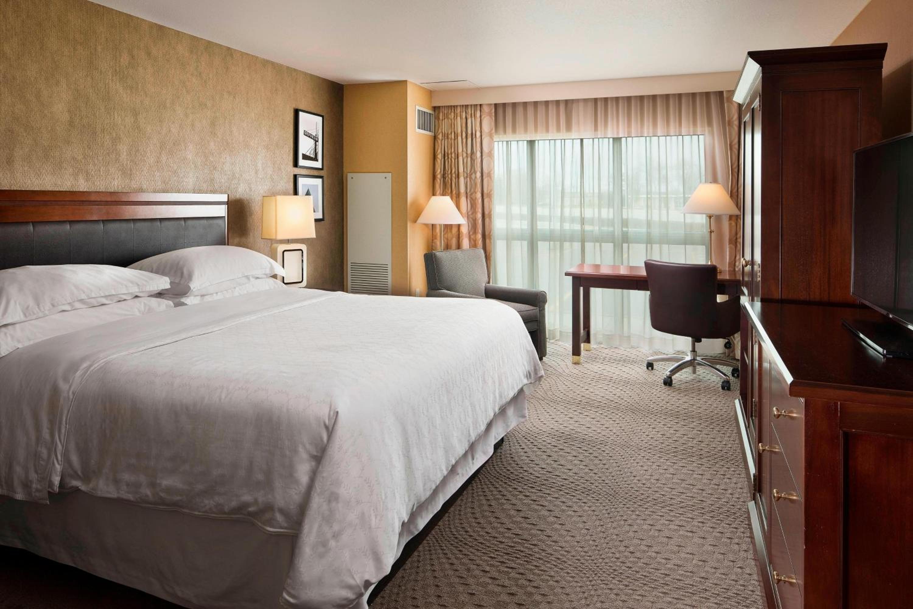 Larger Guest room, 1 King - Photo 4