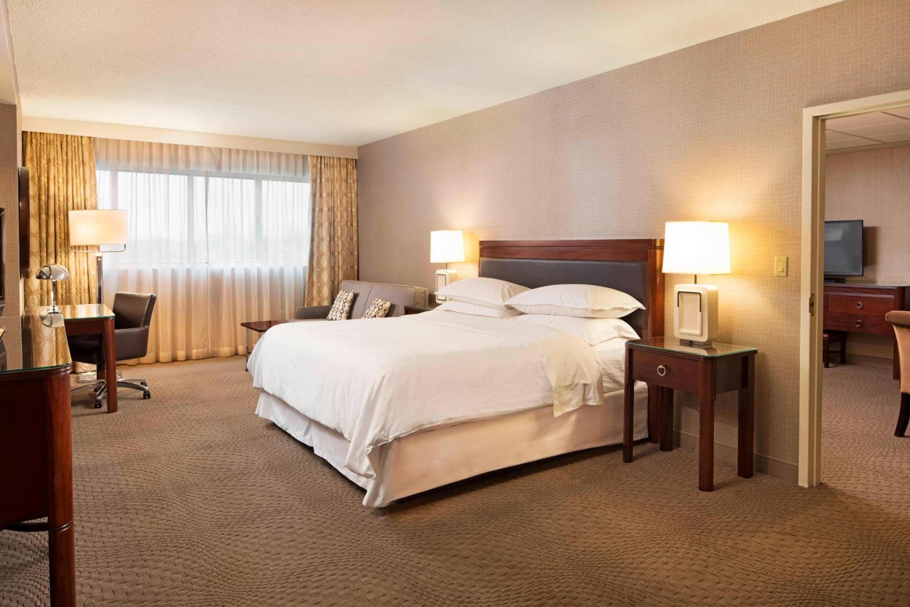 Traditional King Room with Sofa Bed - Atrium Building/Hearing Accessible - Photo 5
