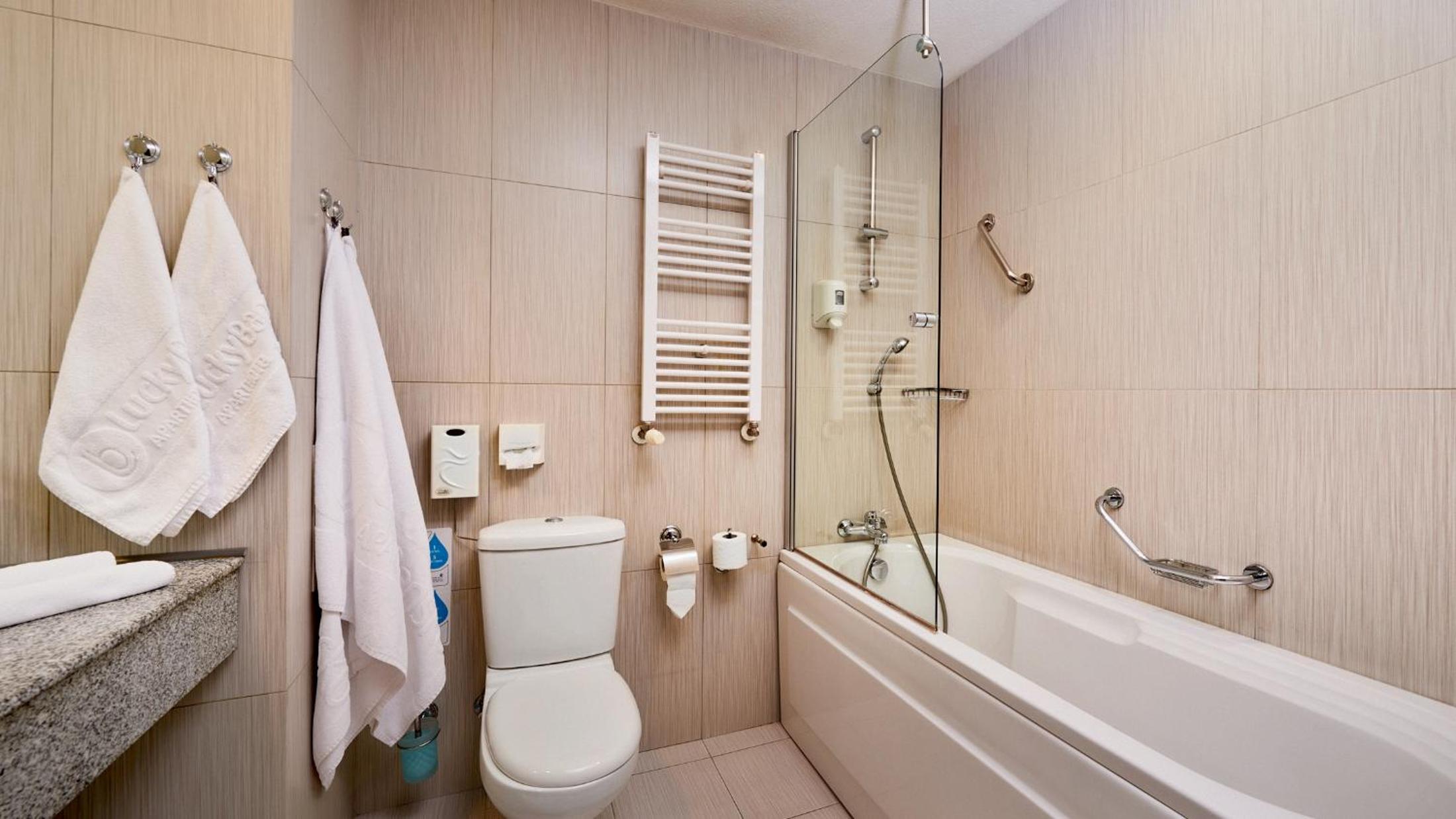 Executive One-Bedroom Apartment - Photo 8