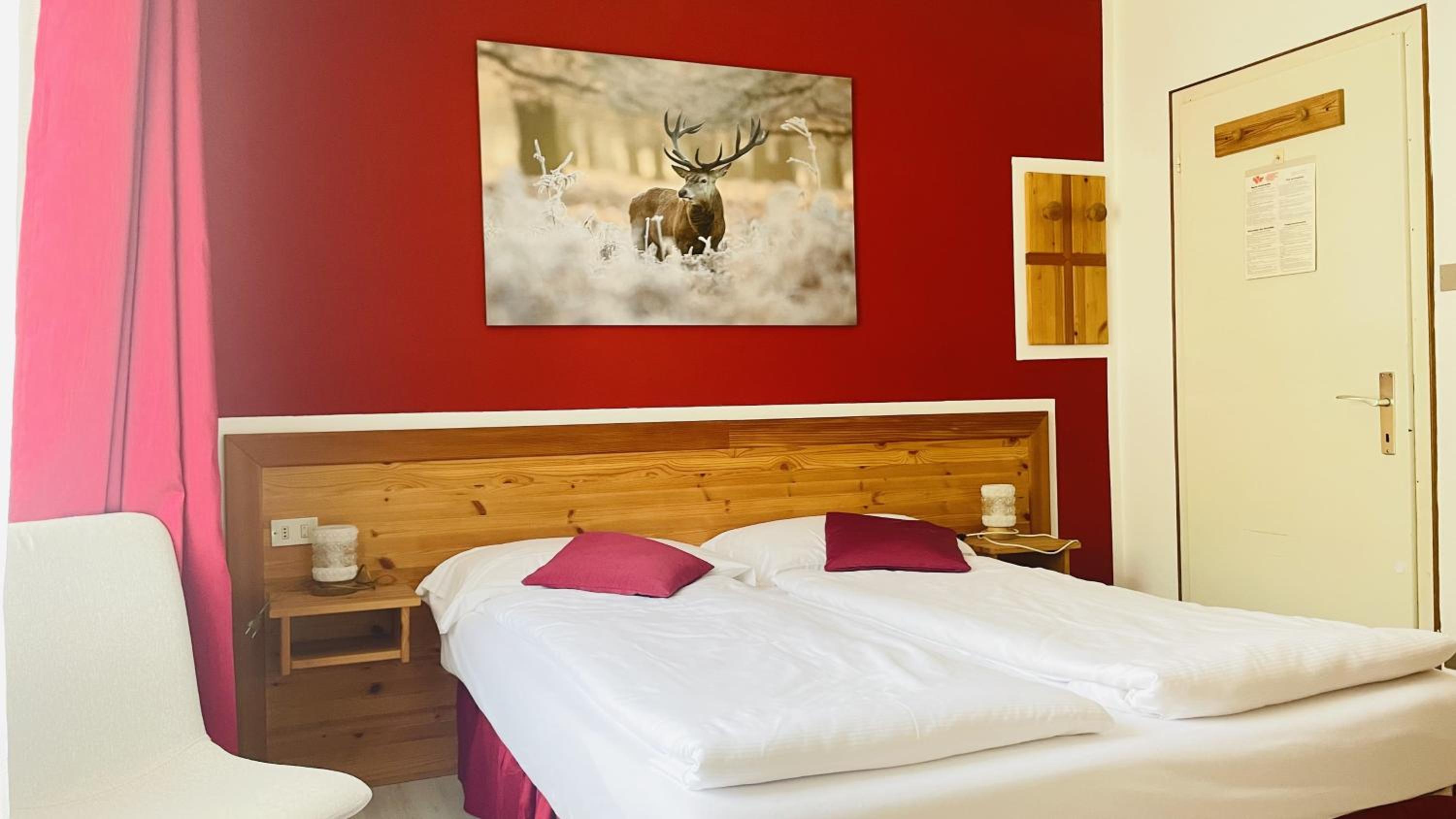 Double or Twin Room photo 3