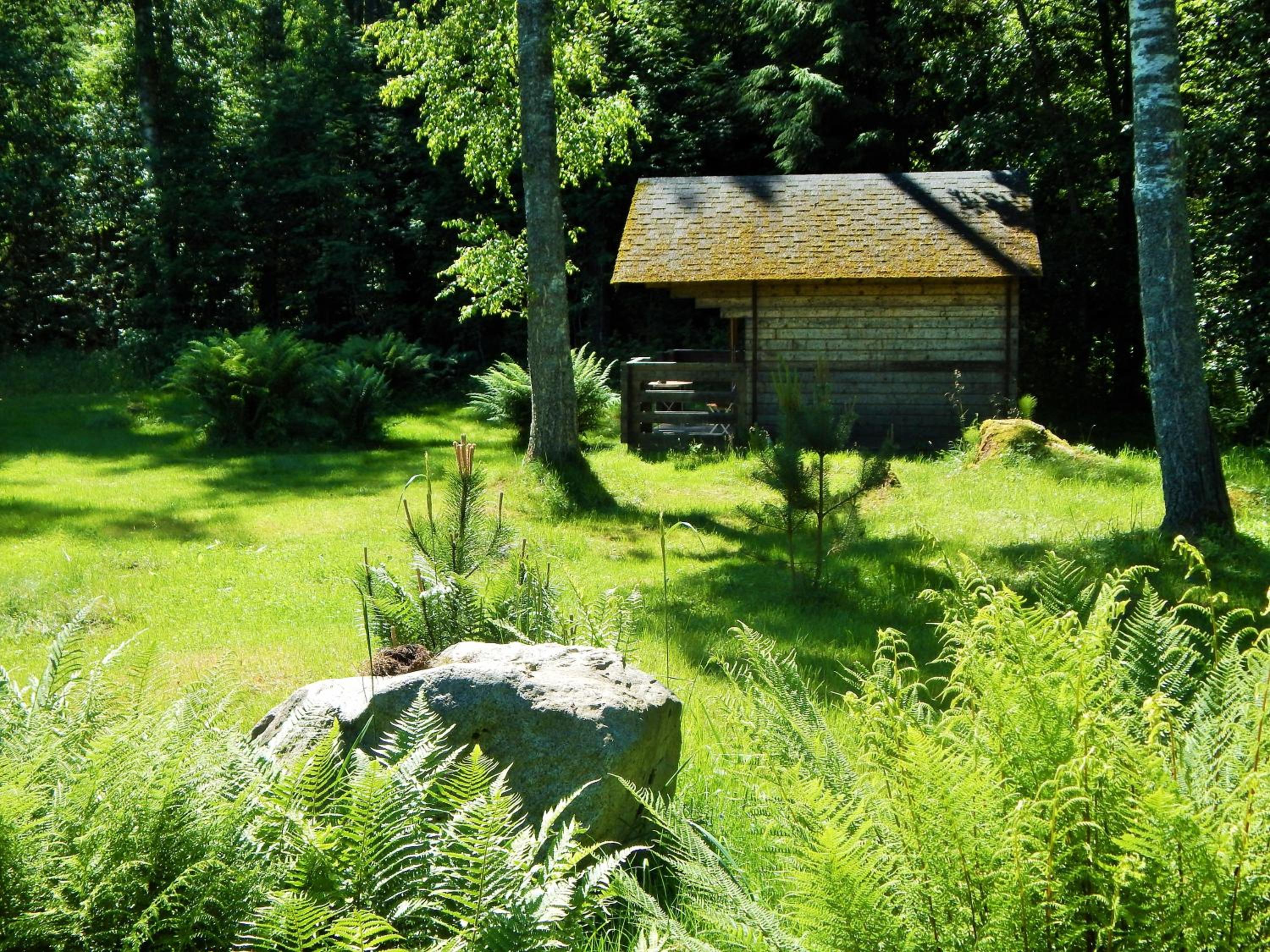 Bungalow (3 Adults) photo 3
