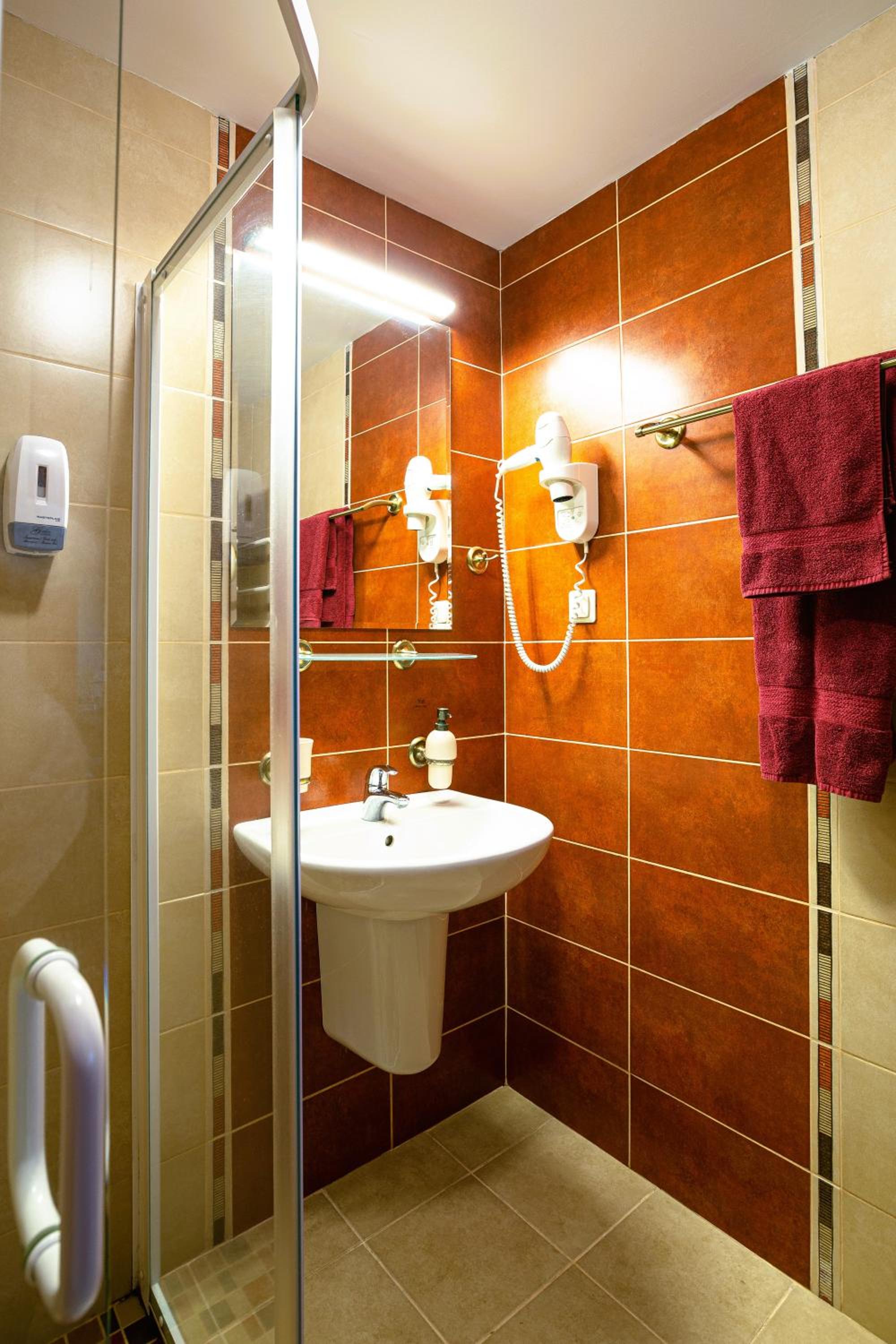 Deluxe Single Room with Balcony and SPA Access photo 3