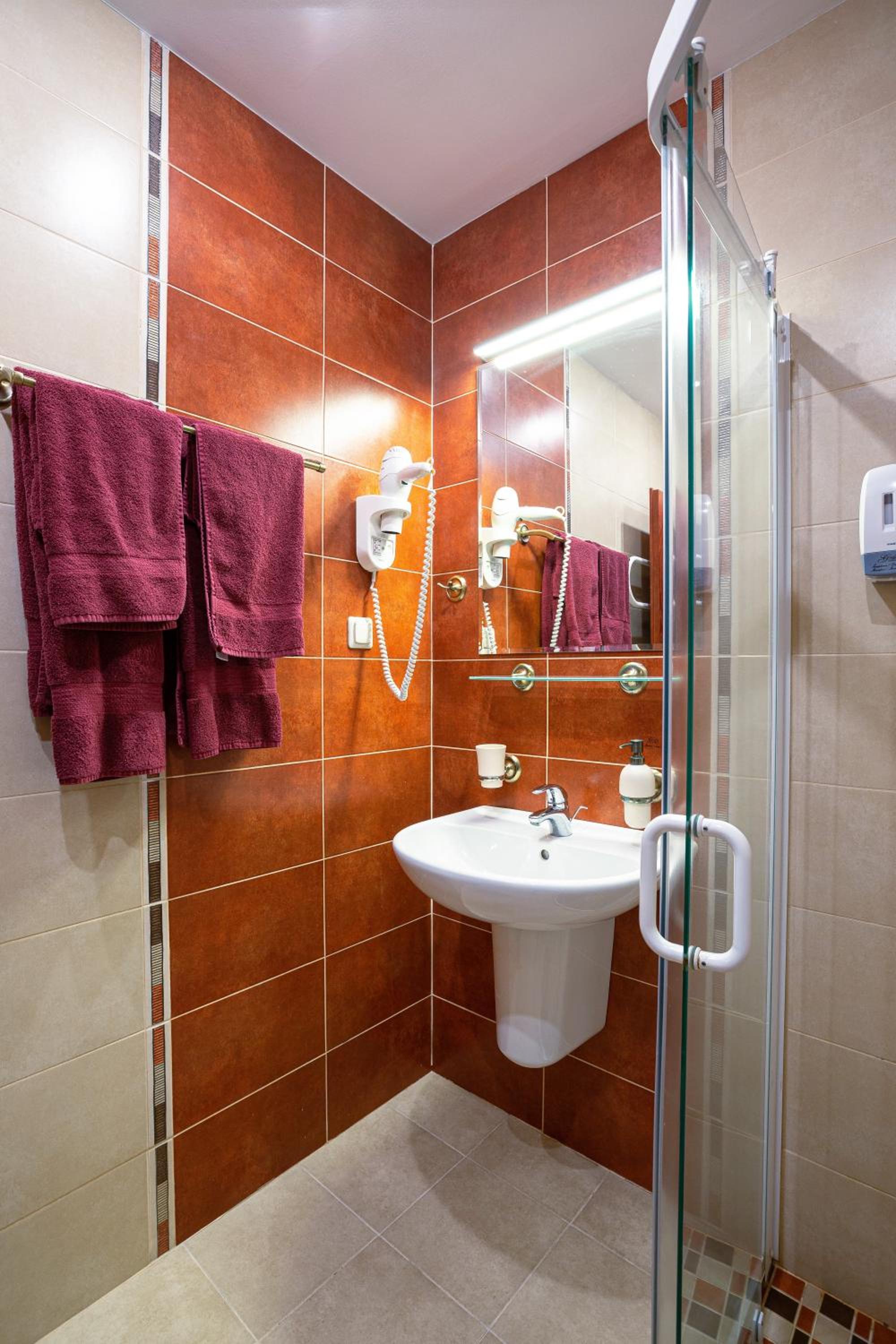 Superior Room with Balcony and SPA Access photo 2