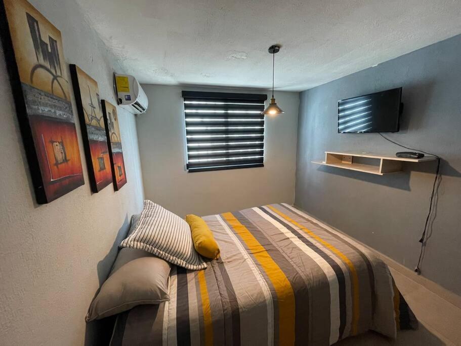 One-Bedroom Apartment photo 1