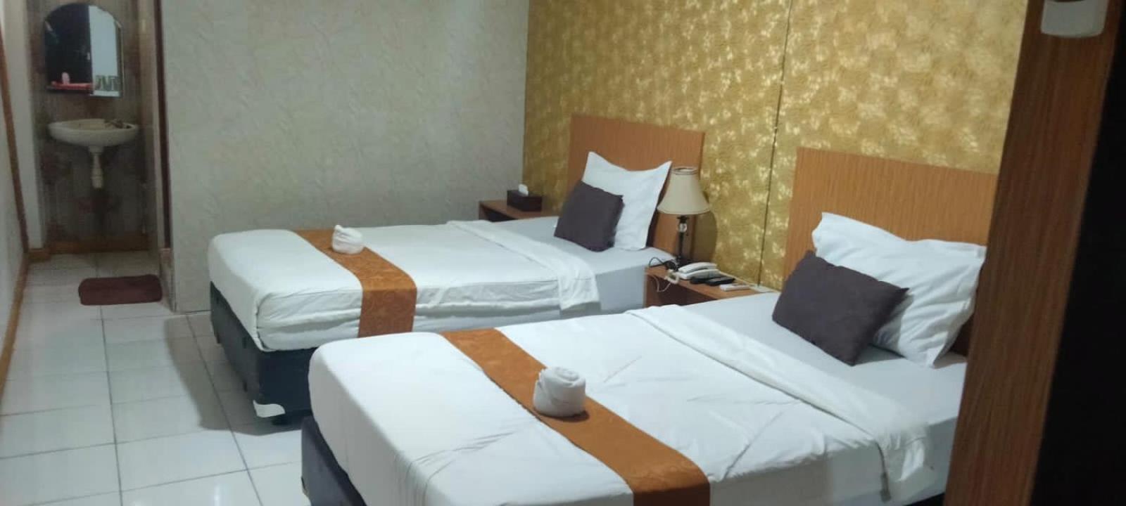 Deluxe Twin Room - Photo 1