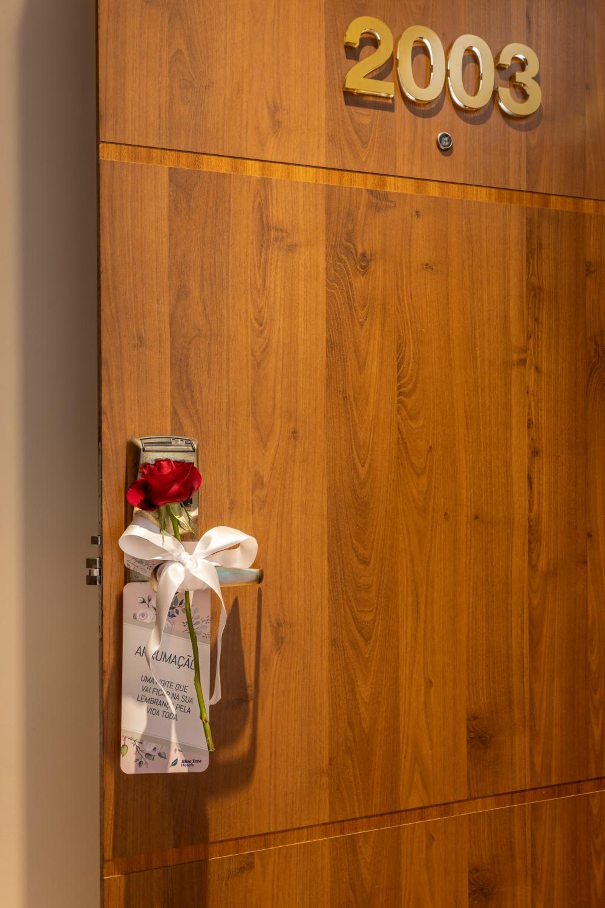 Suite Premium - Photo 1