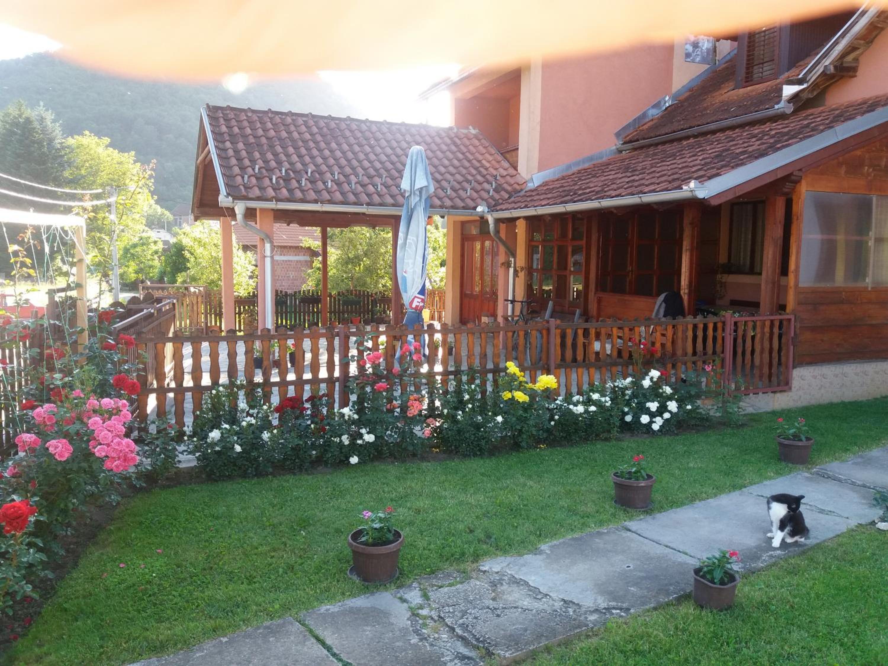 Studio with Garden View photo 1