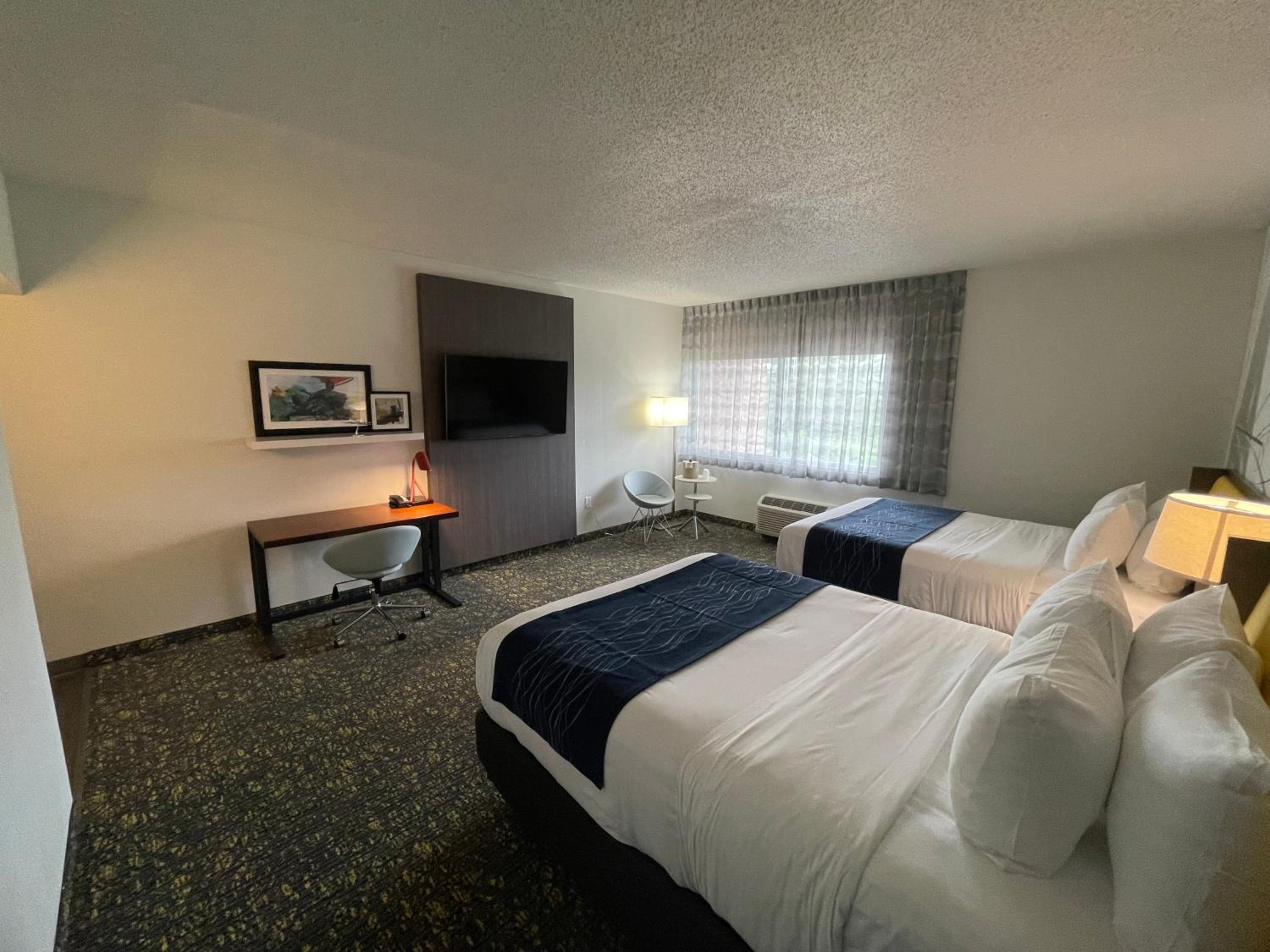 Large Double Room photo 2