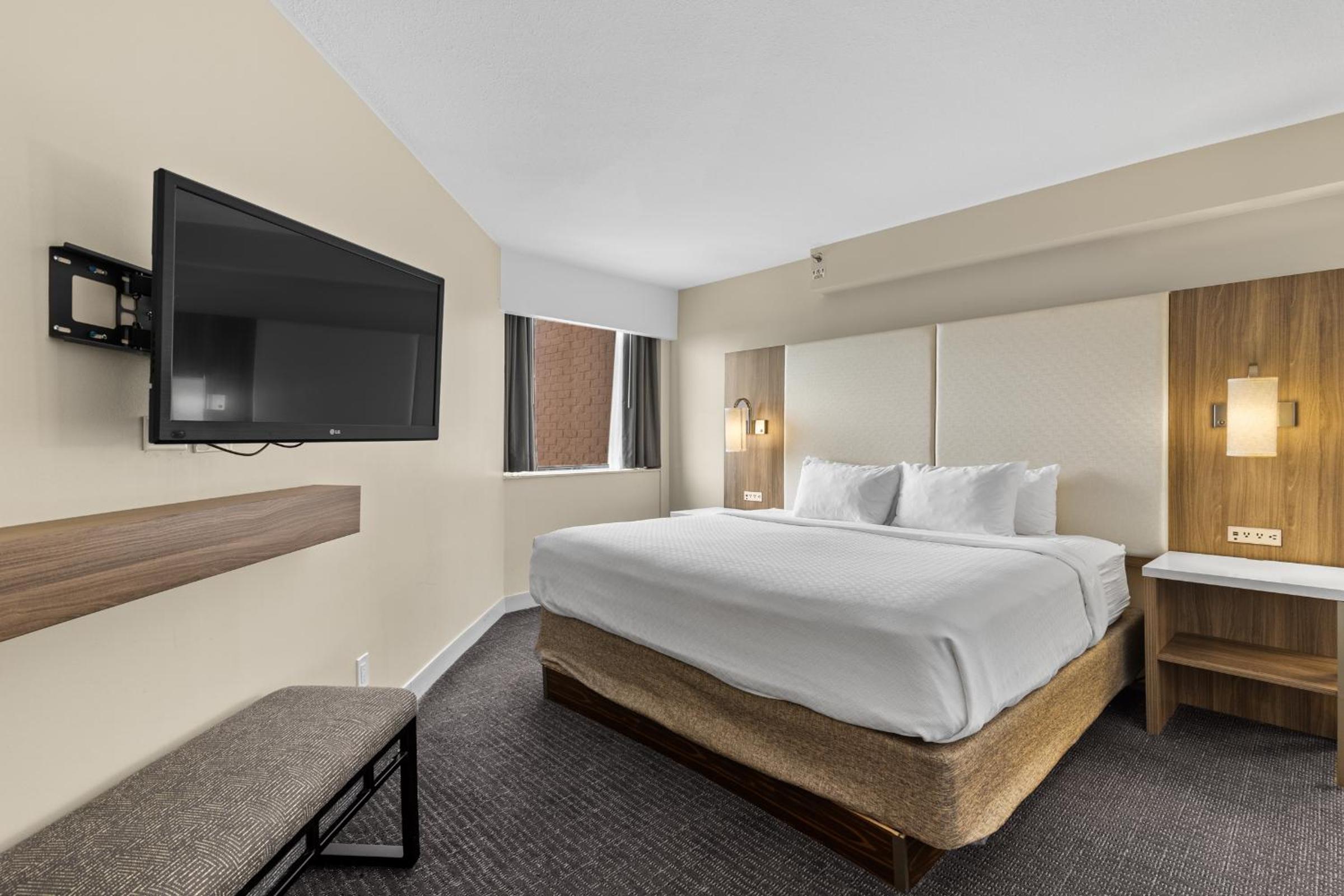 Junior King Suite photo 3