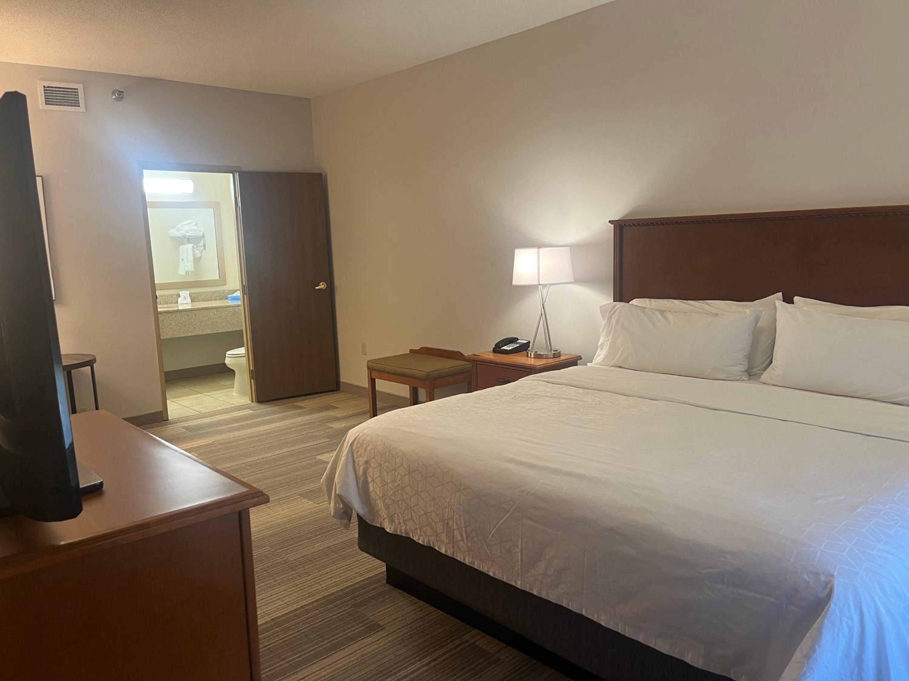 One-Bedroom Suite with Sofa Bed