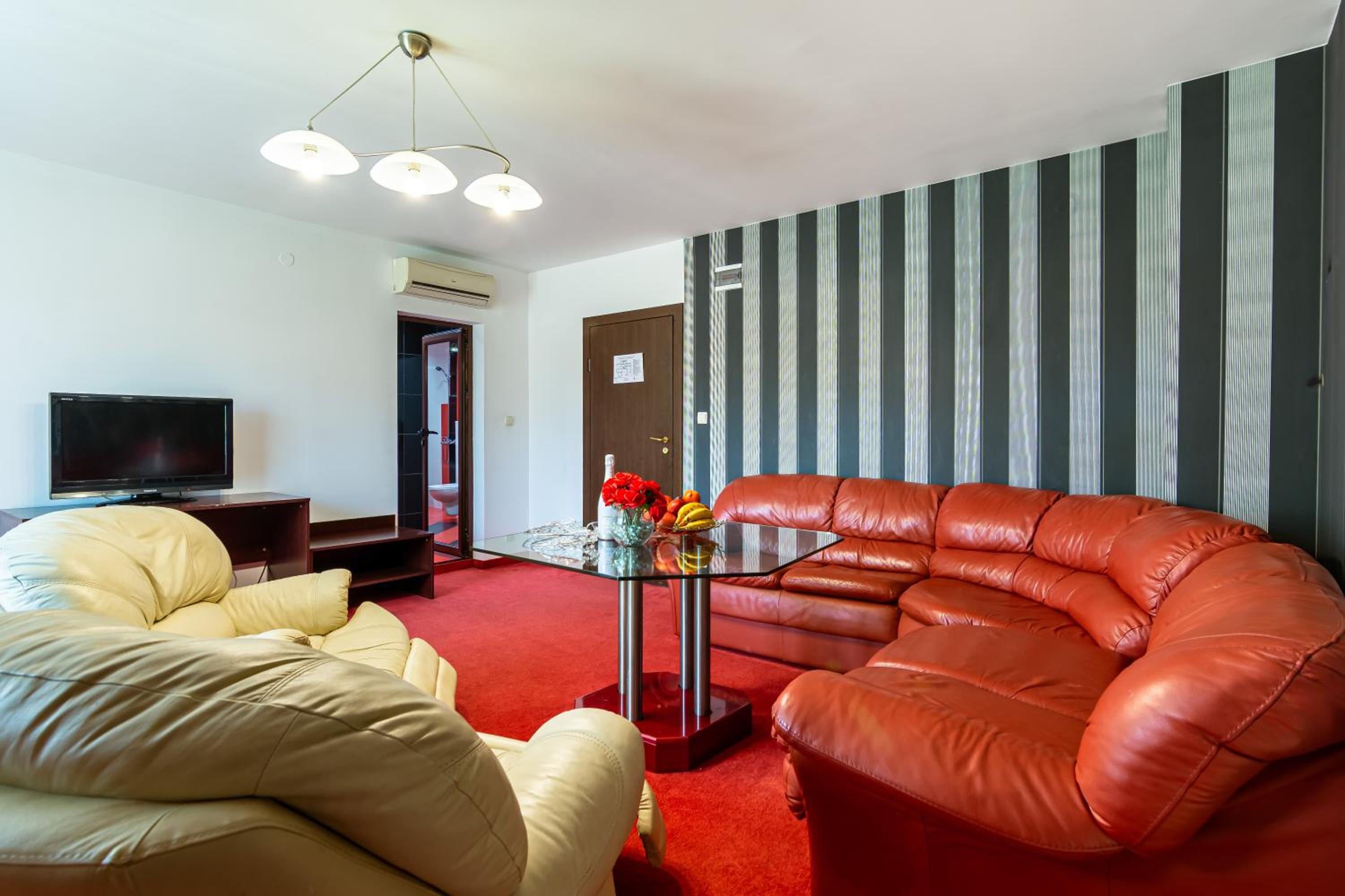 One-Bedroom Apartment photo 3