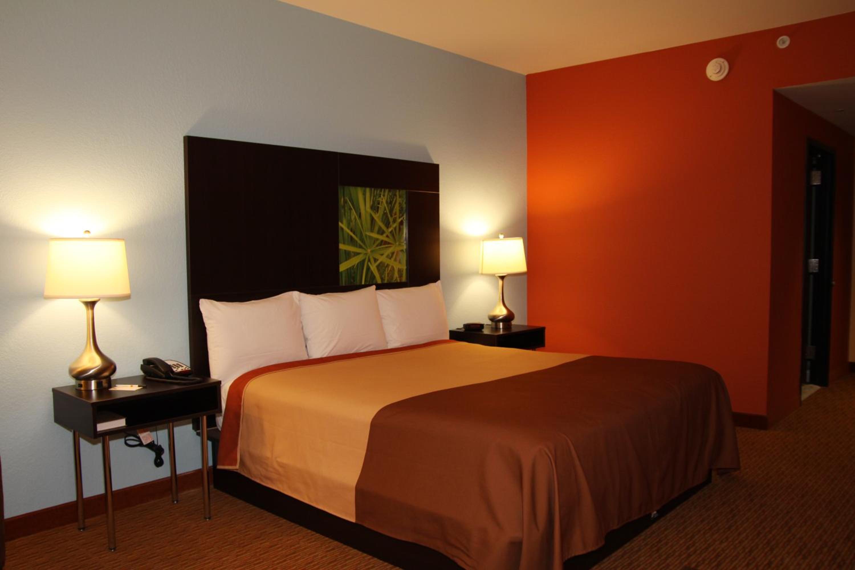 King Room - Non-Smoking - Photo 4