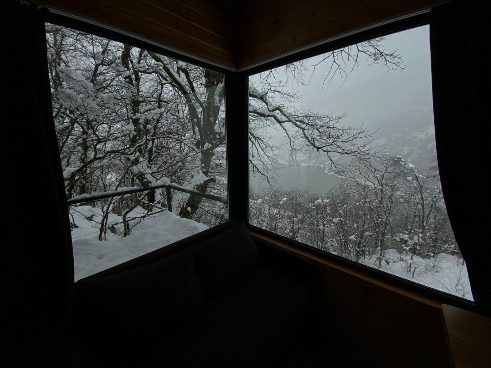 Family Room with Terrace photo 2