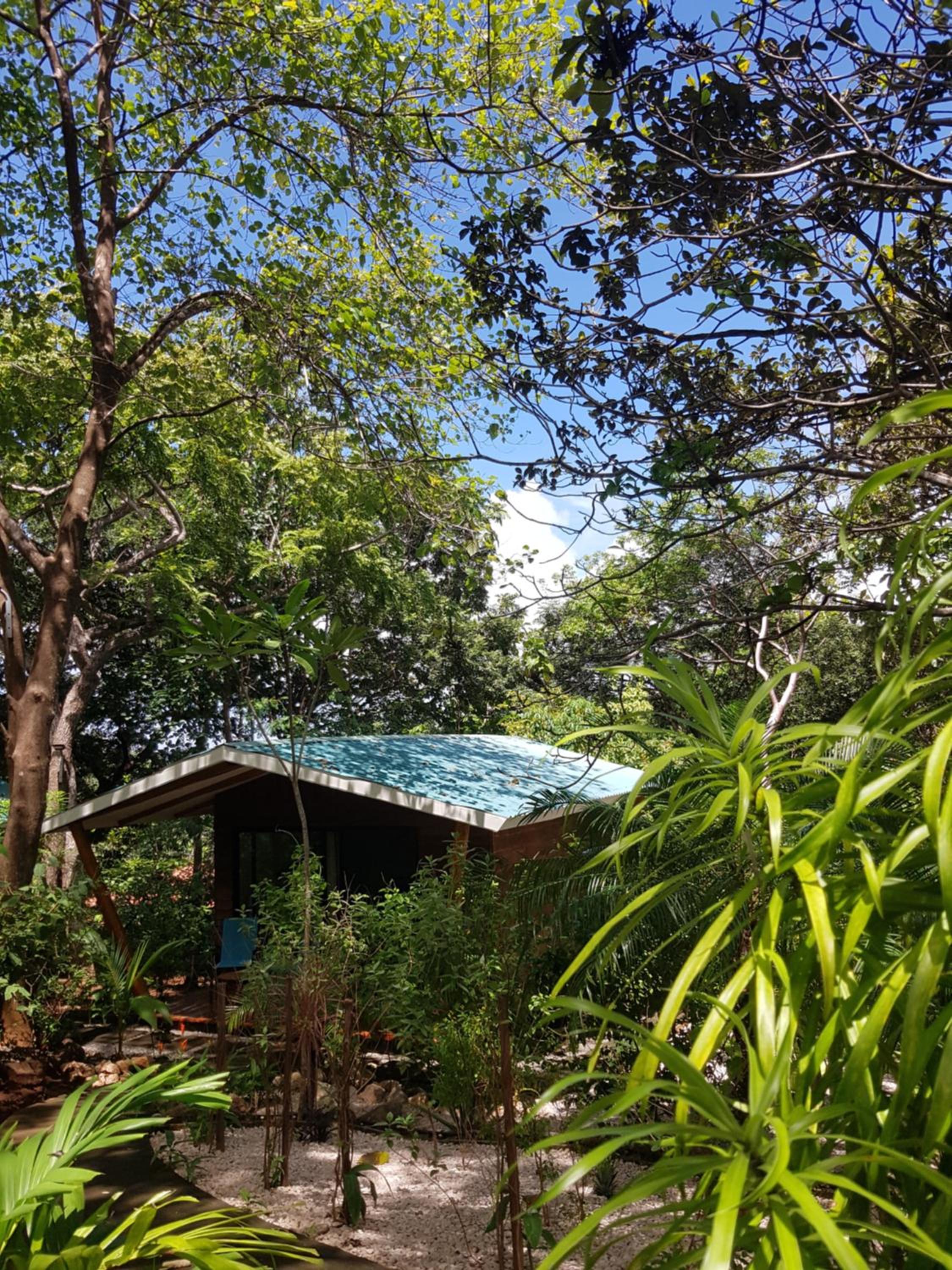 Double Room With Garden View