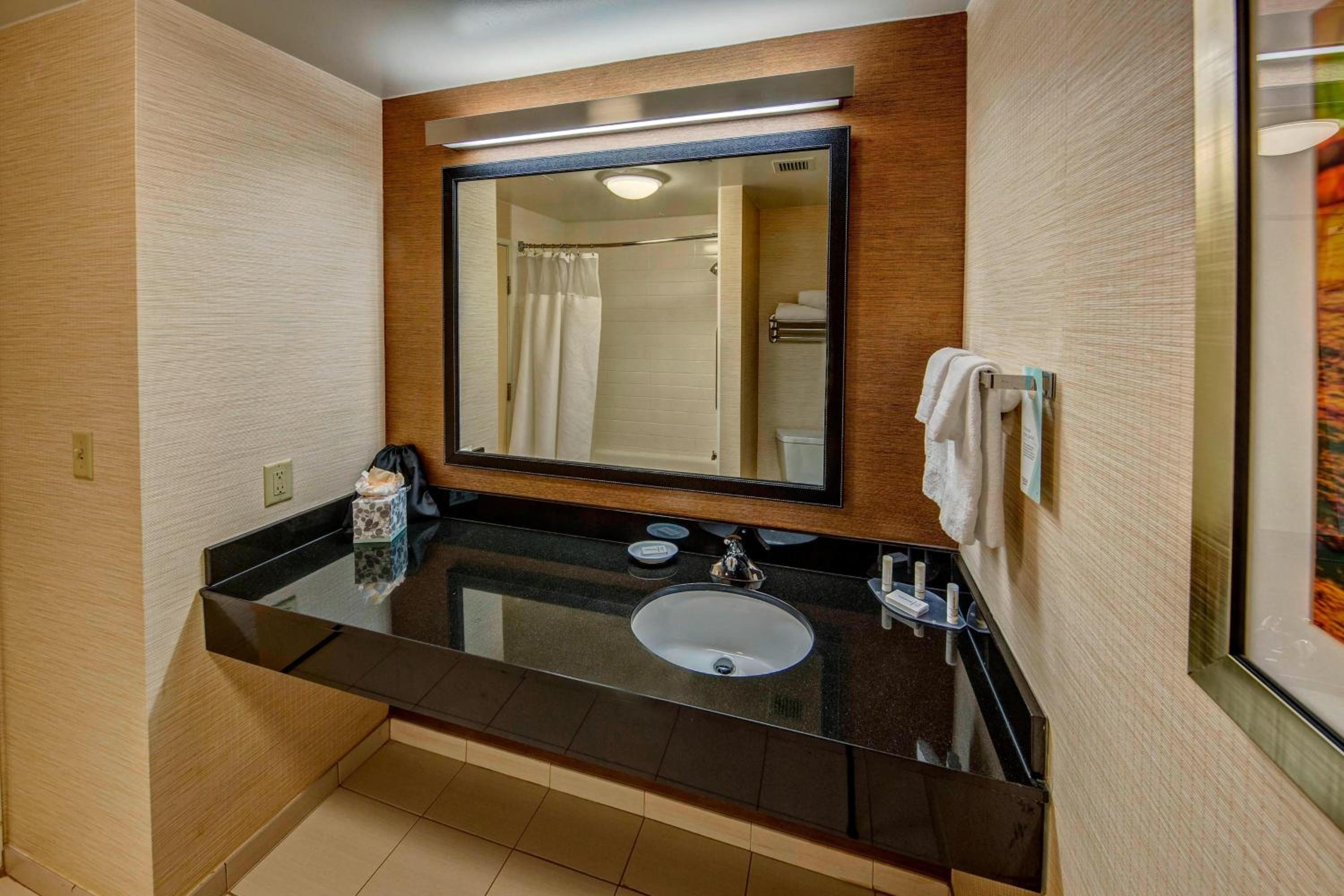 King Suite with Sofa Bed - Photo 5