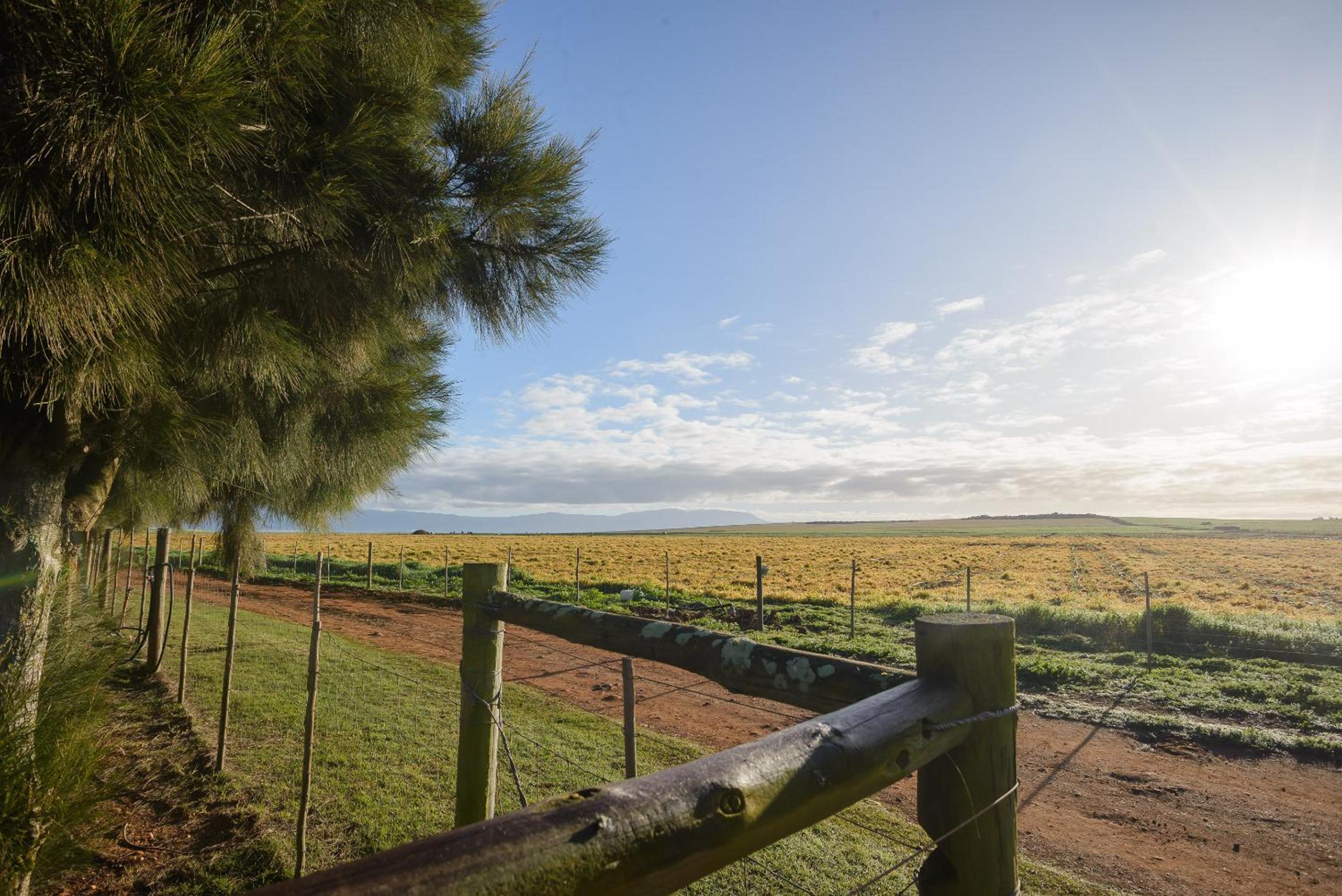 Vacation Home photo 3