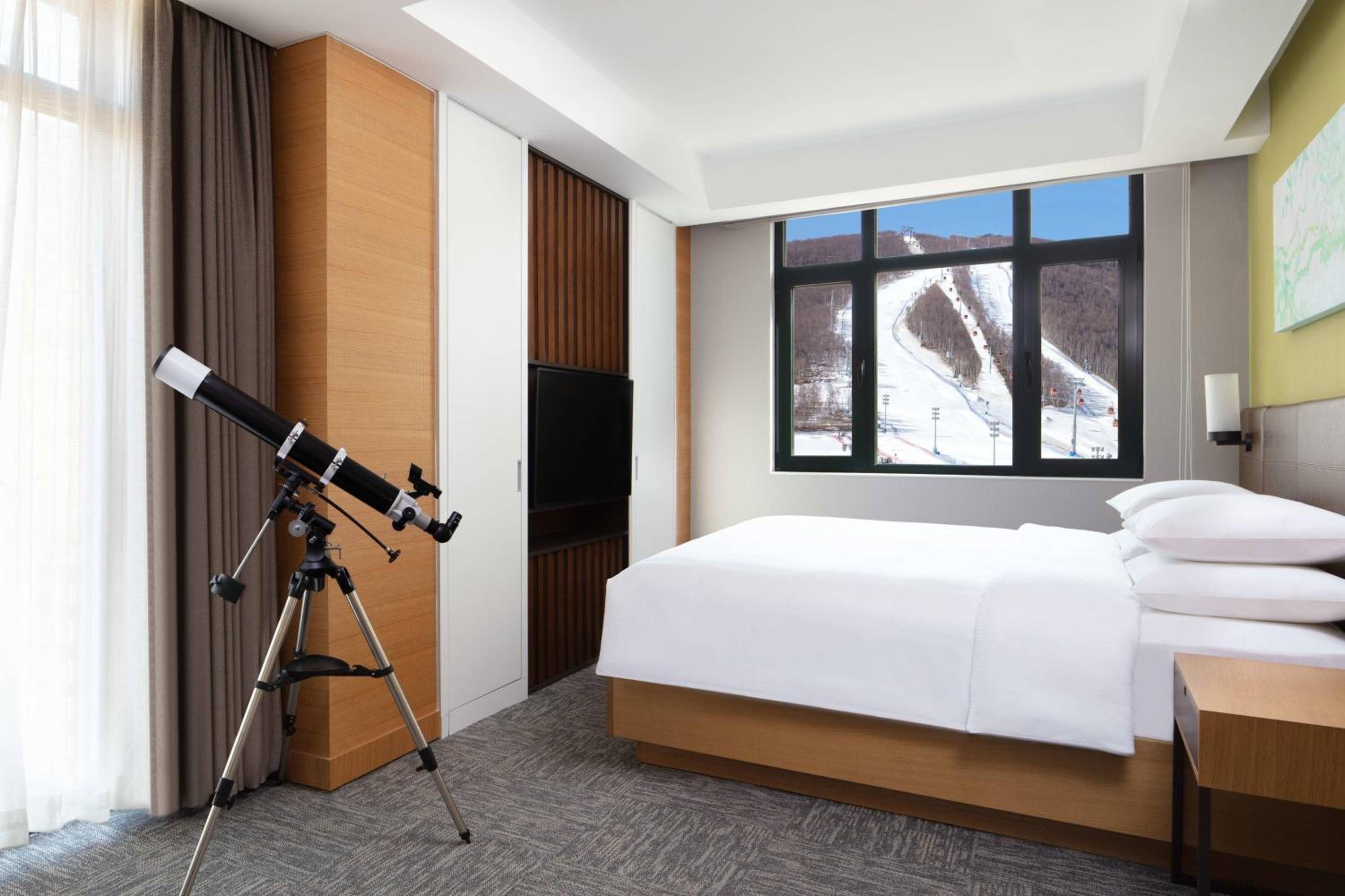Executive Suite photo 2