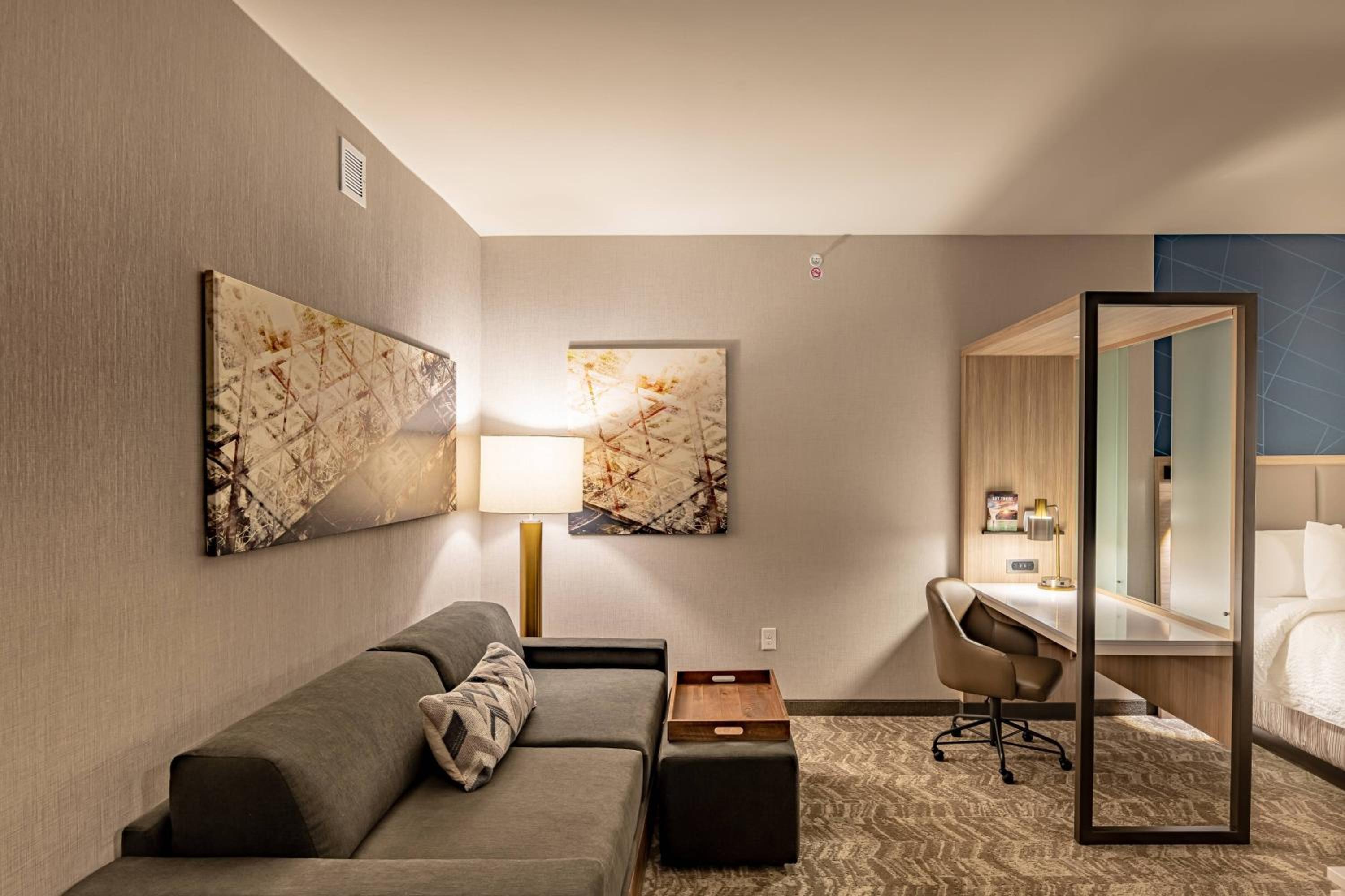 King Suite with Bathtub, Transfer Shower and Trundle Sofa - Mobility Access