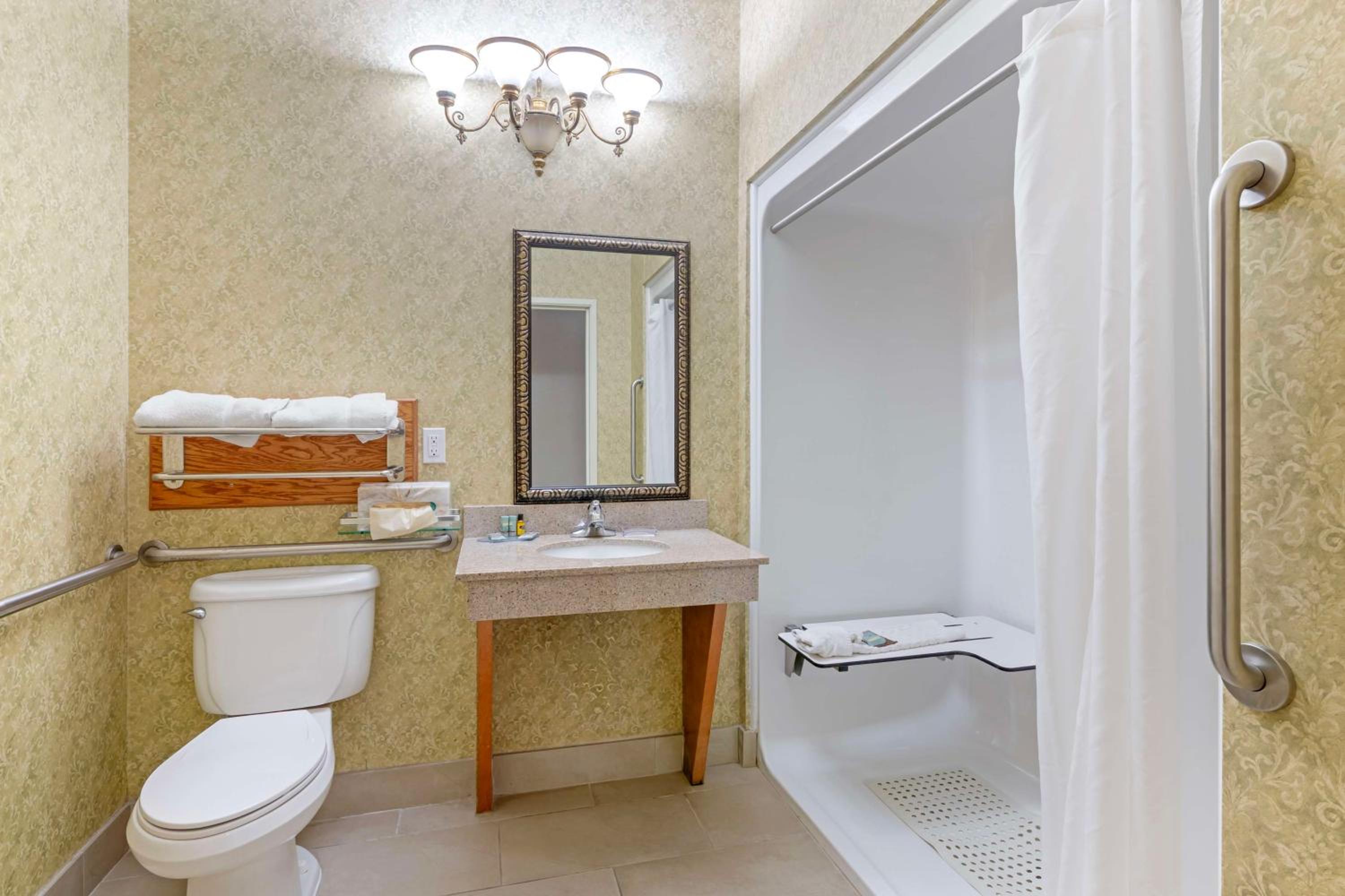 King Room with Roll-In Shower - Mobility Access - Photo 5