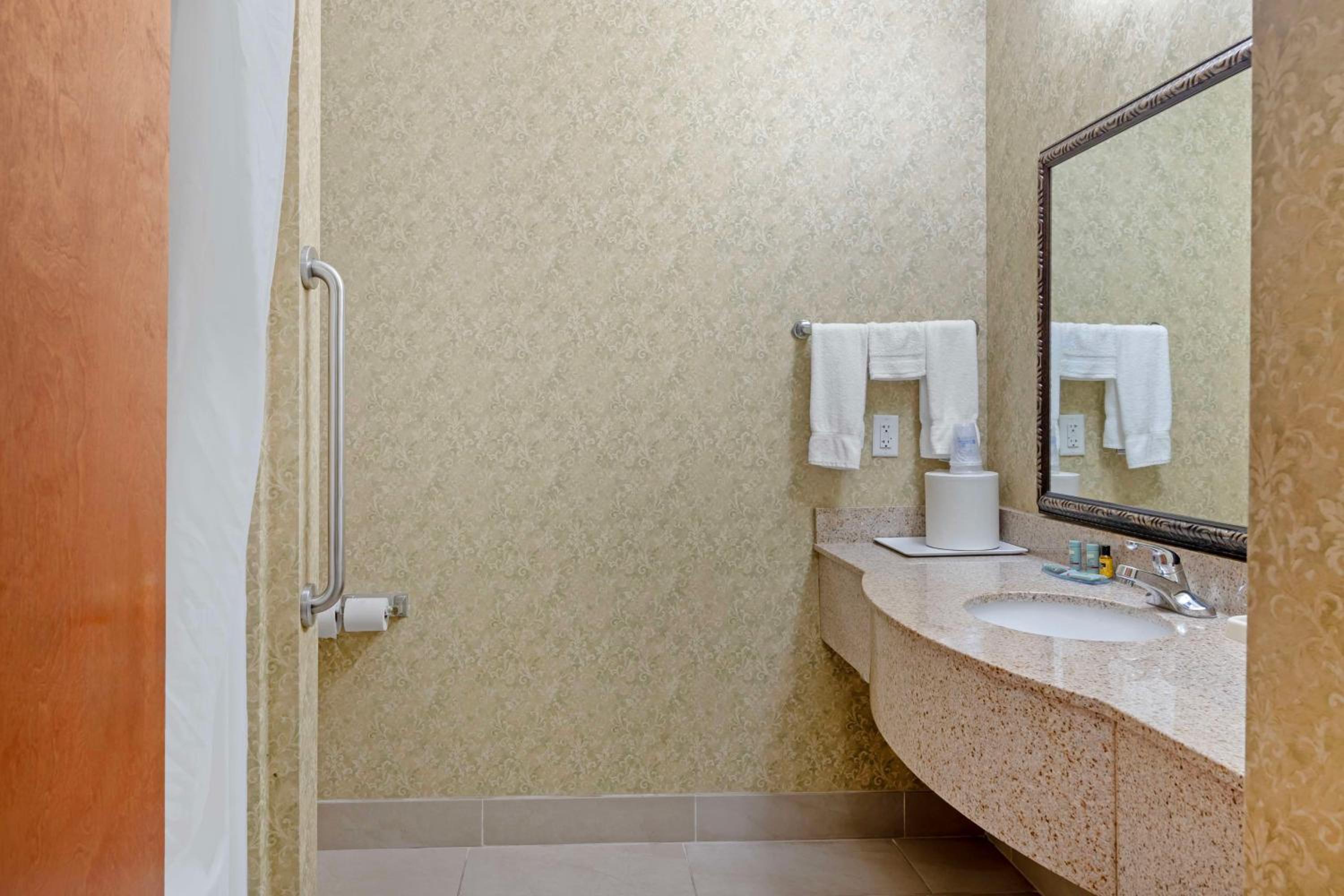 King Suite - Disability Access/Non-Smoking - Photo 5
