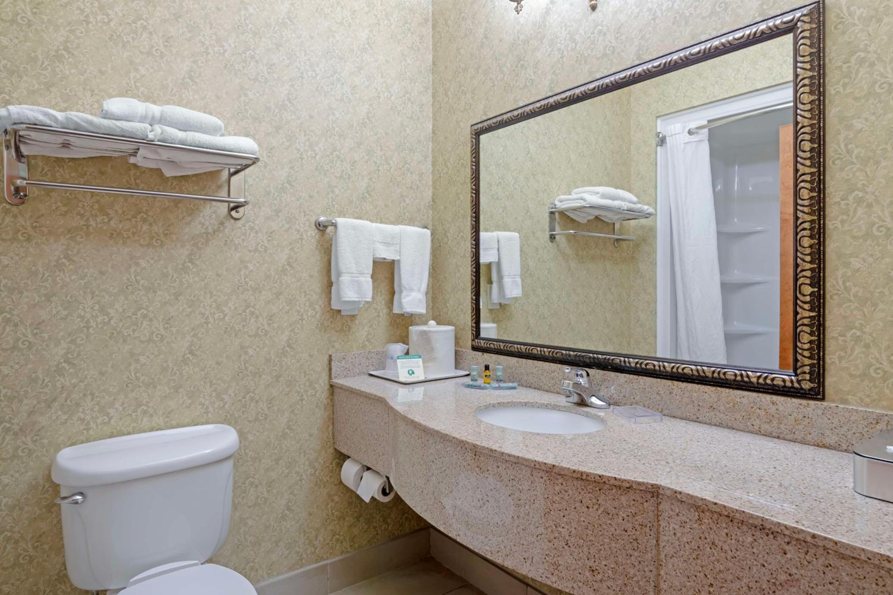 King Suite - Photo 5