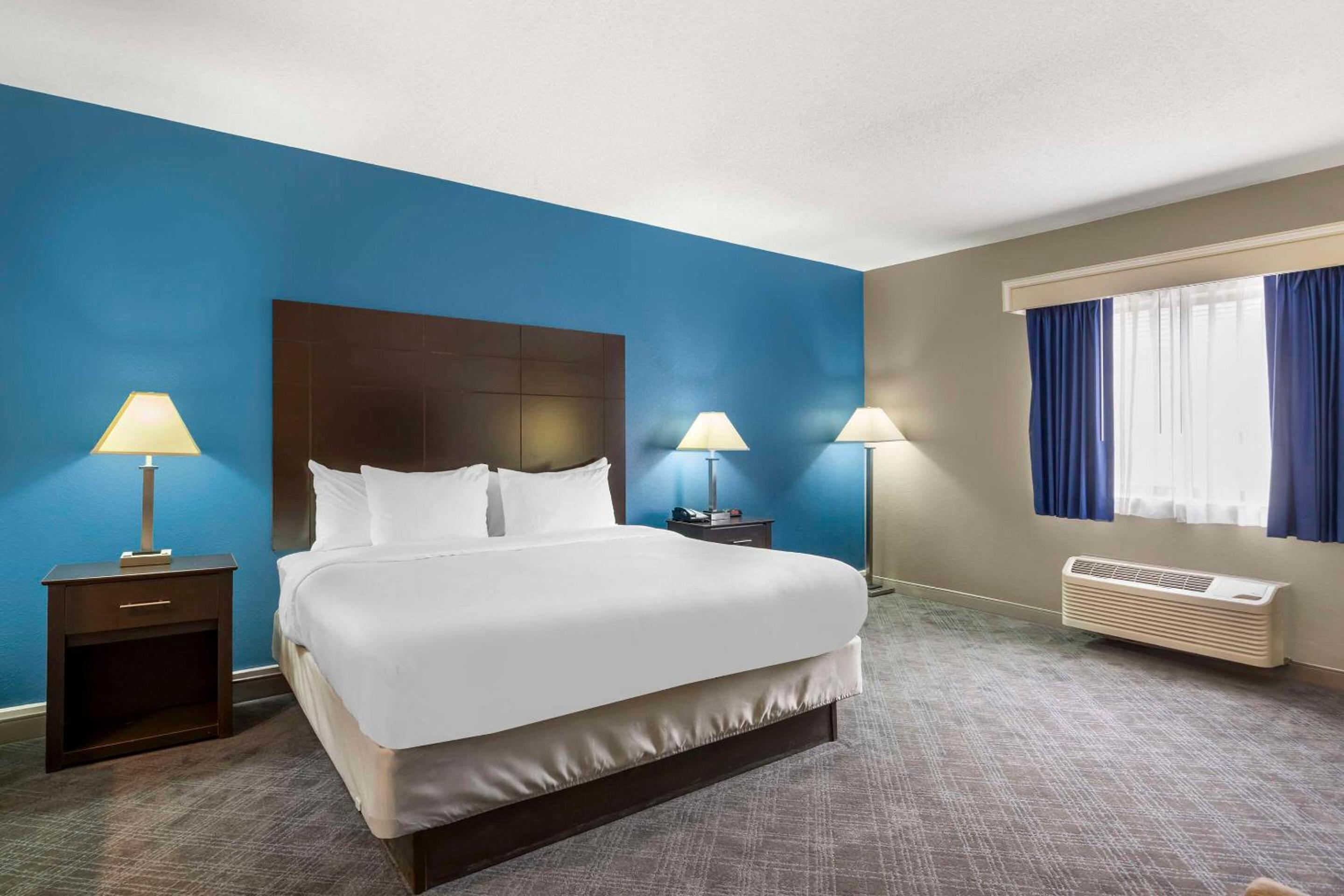 King Room with Roll-In Shower - Accessible/Non Smoking - Photo 1