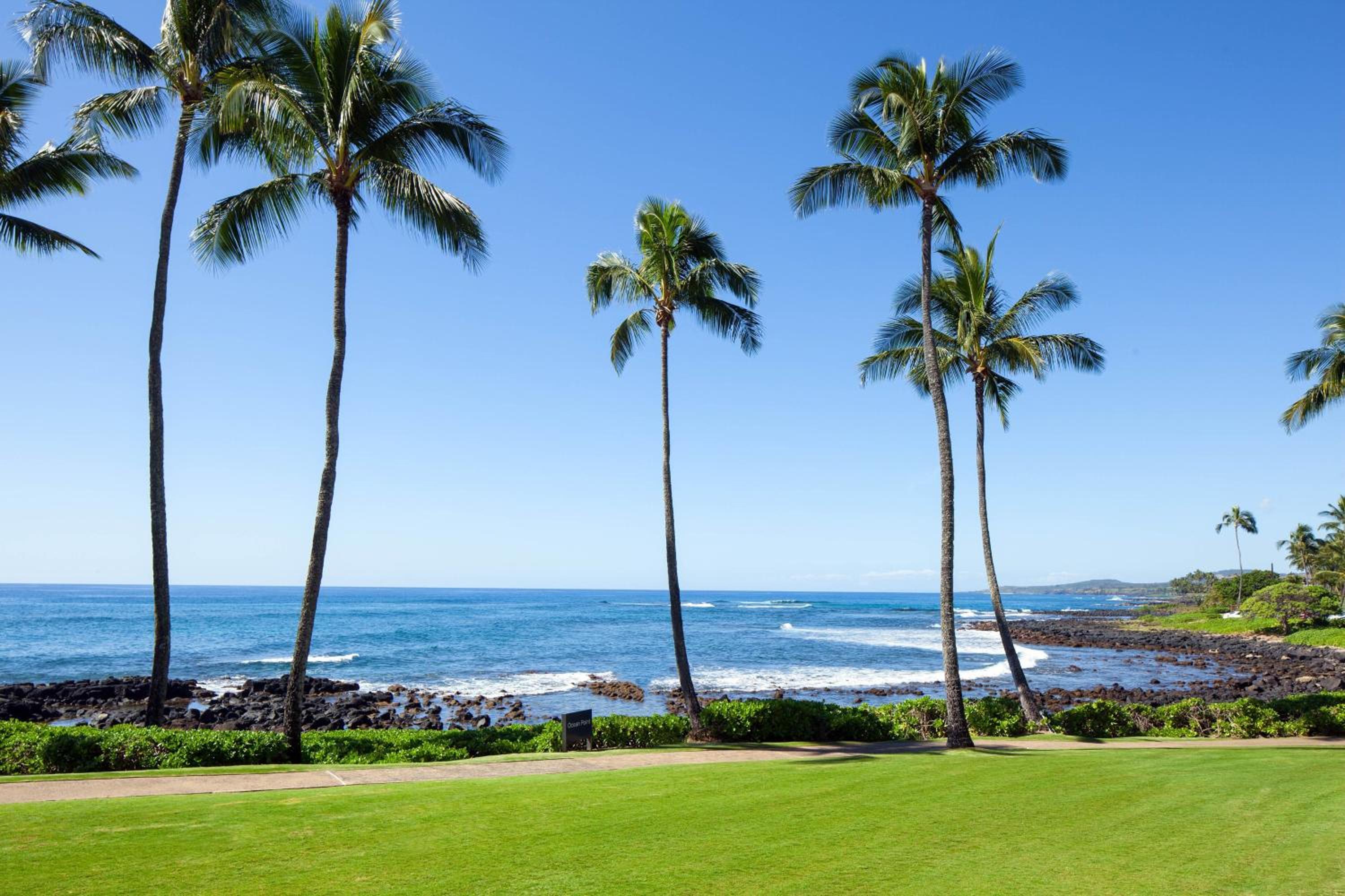 Luxury Oceanfront, Guest room, Oceanfront