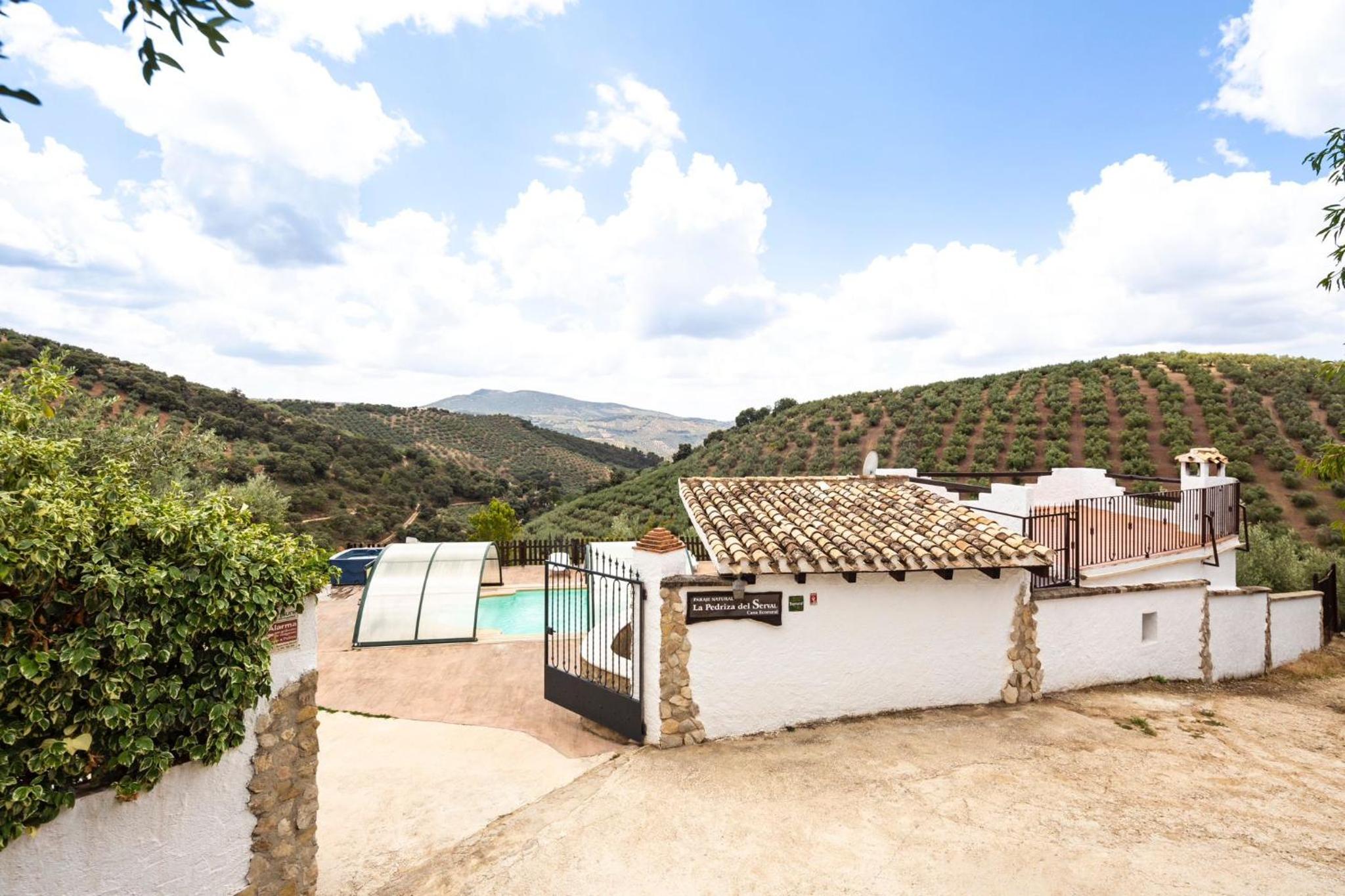 Vacation Home photo 3