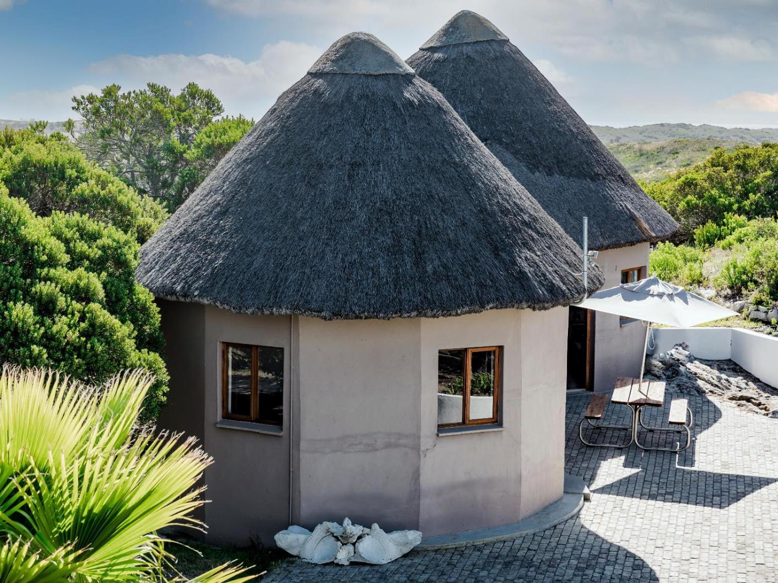 Comfort Bungalow photo 2