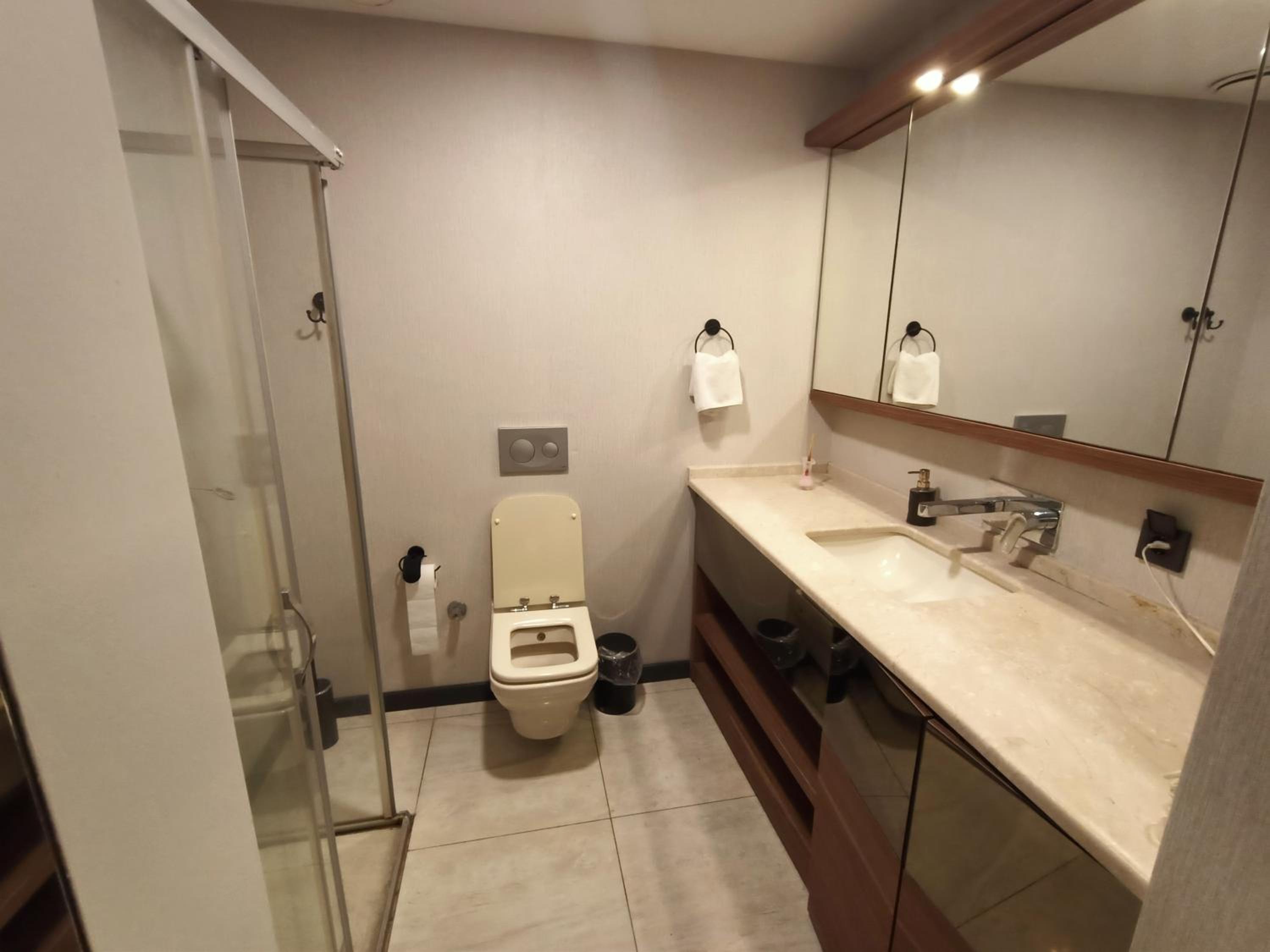 Deluxe Suite photo 3
