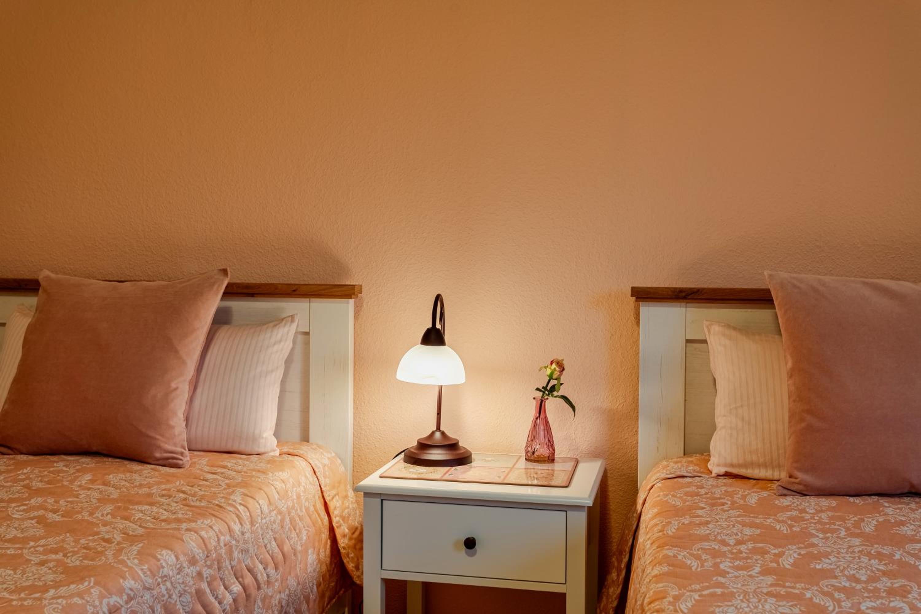 Twin Room photo 2