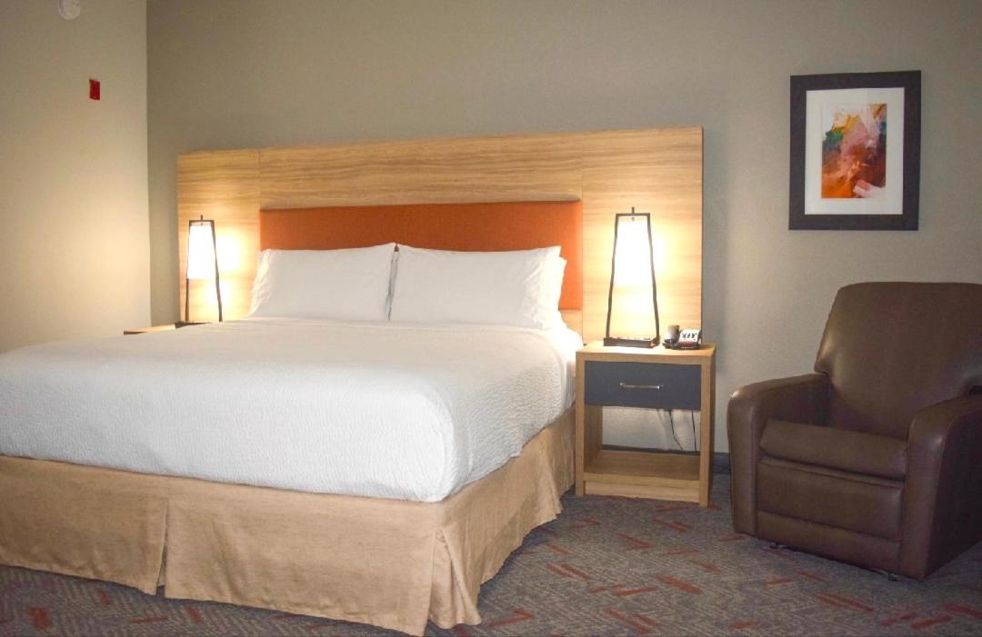 Studio Suite - Photo 4