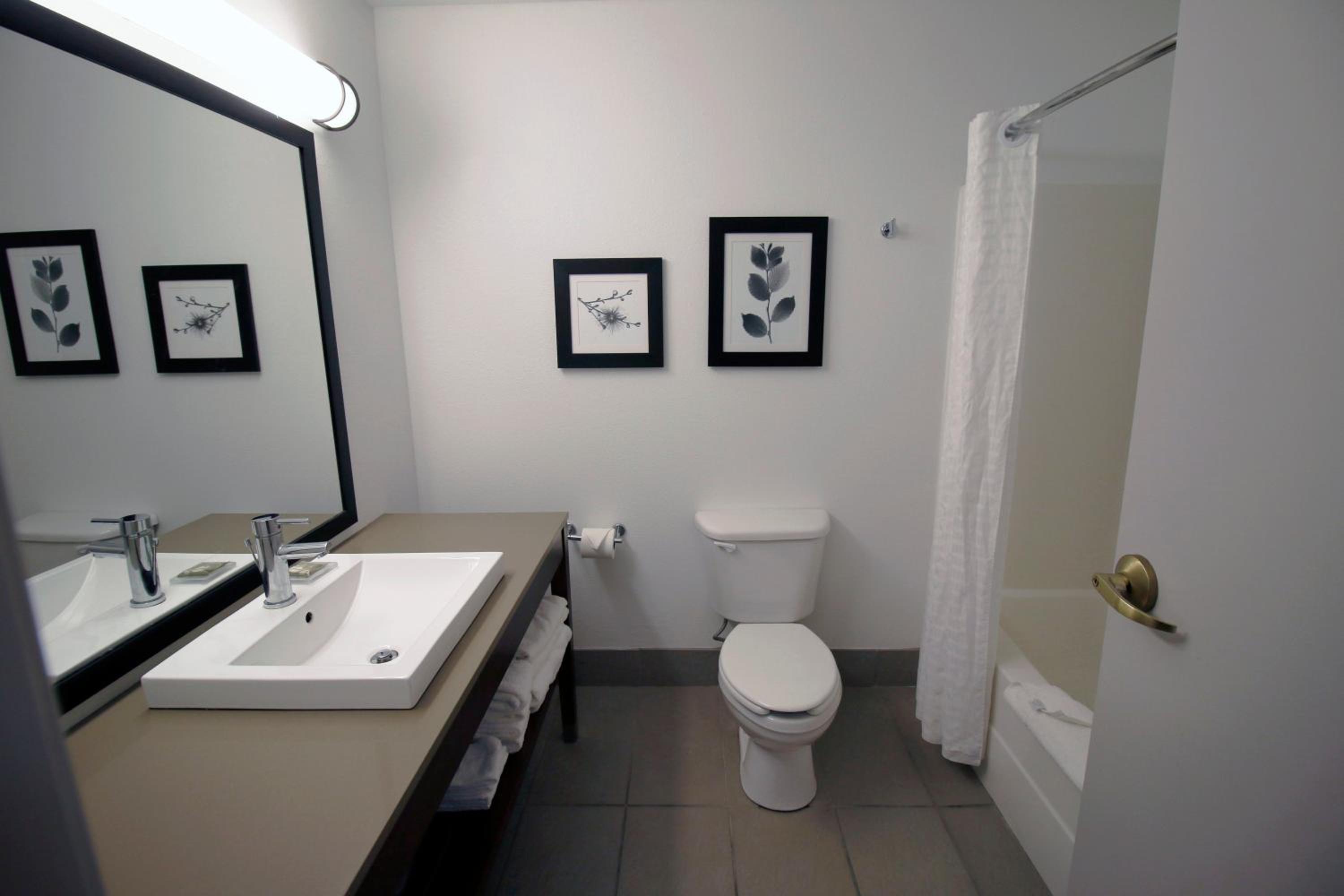 King Room with Dry Bar - Non-Smoking photo 3
