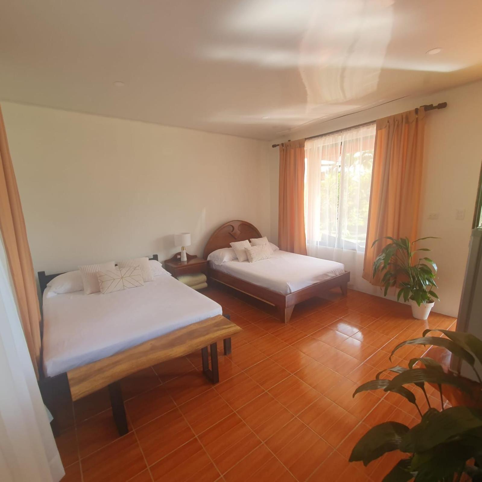 Budget Double Room photo 3