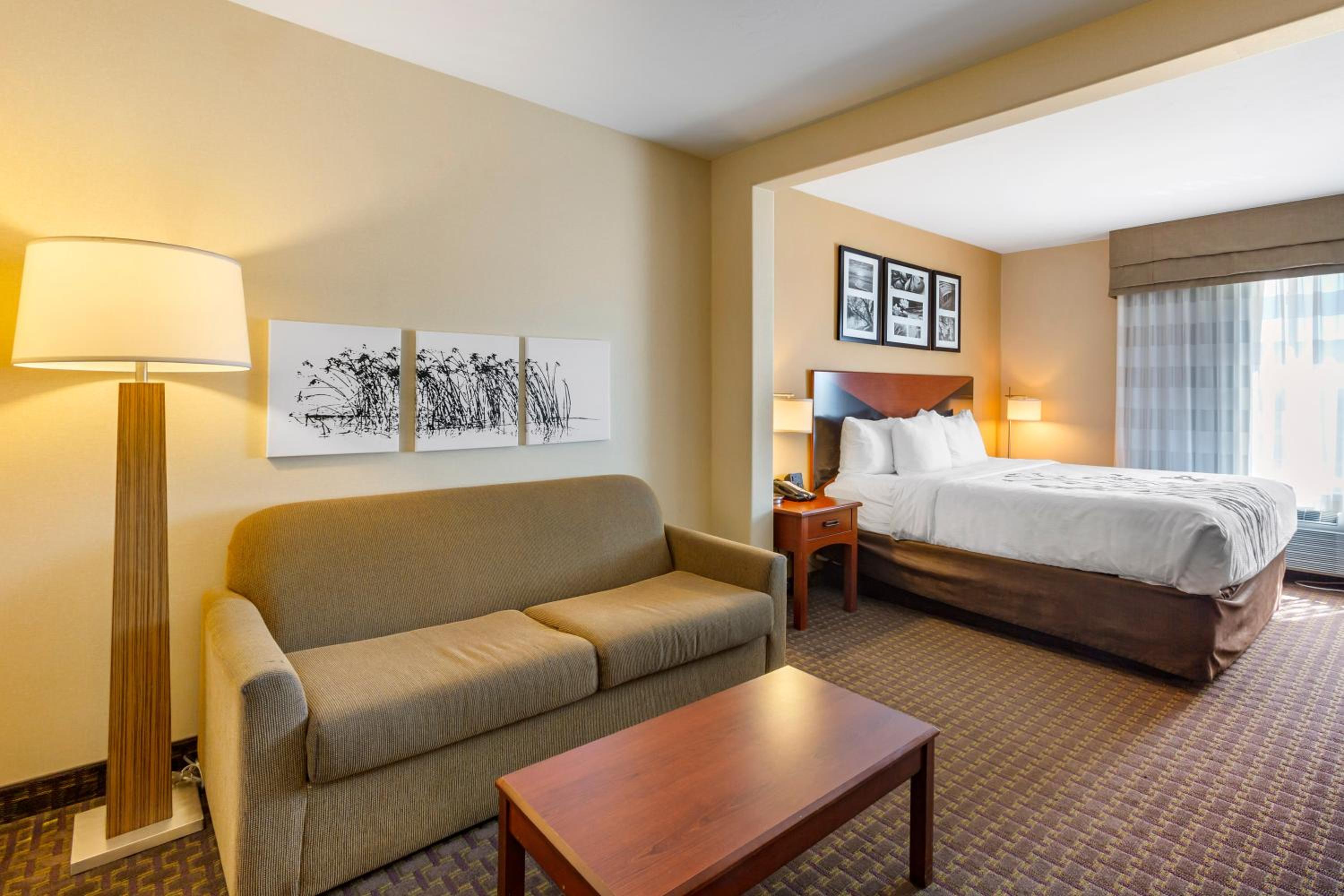 King Room With Walk-In Shower - Non-Smoking/Pet-Friendly photo 1