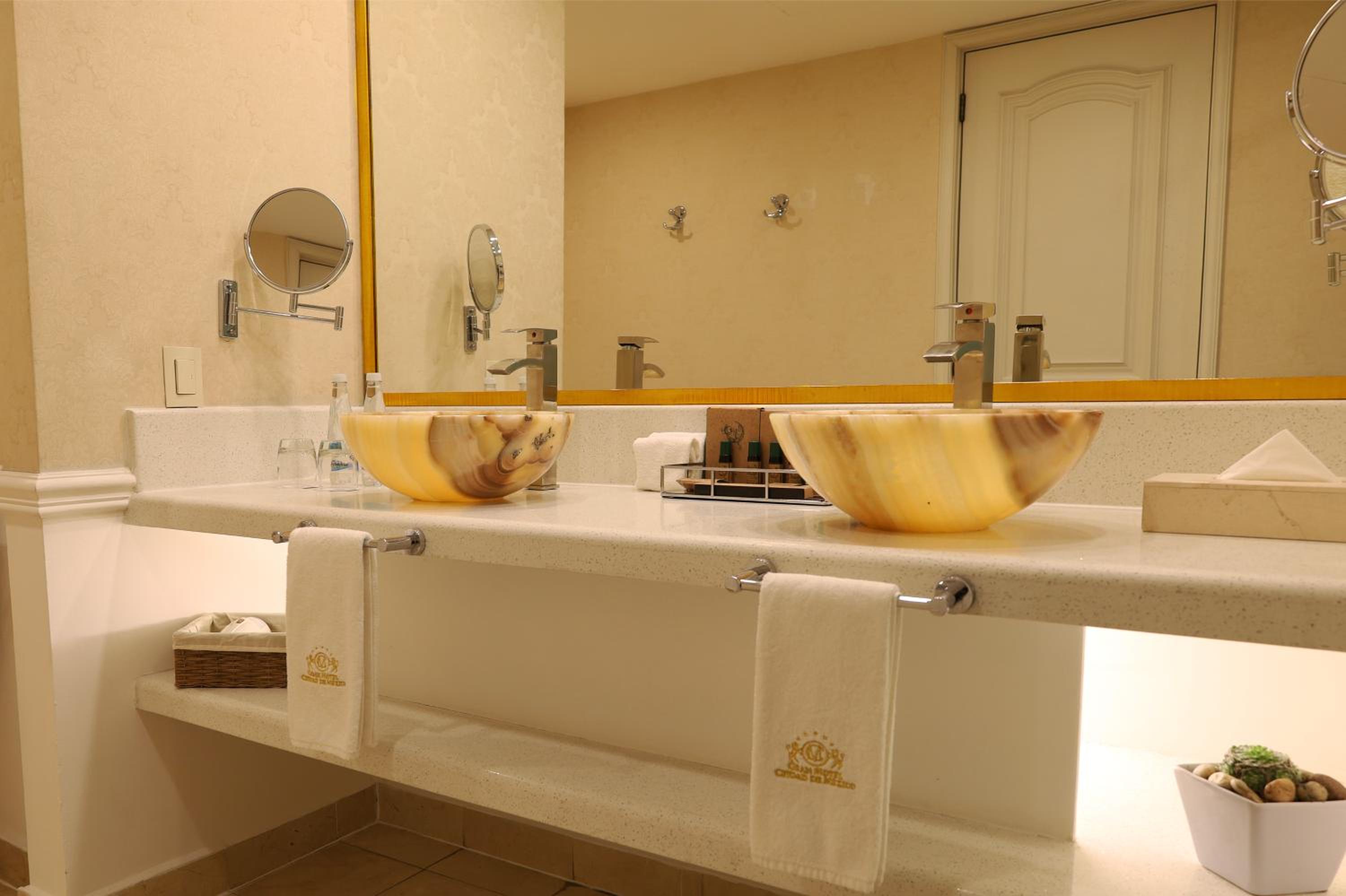 Executive Master Suite - Photo 2
