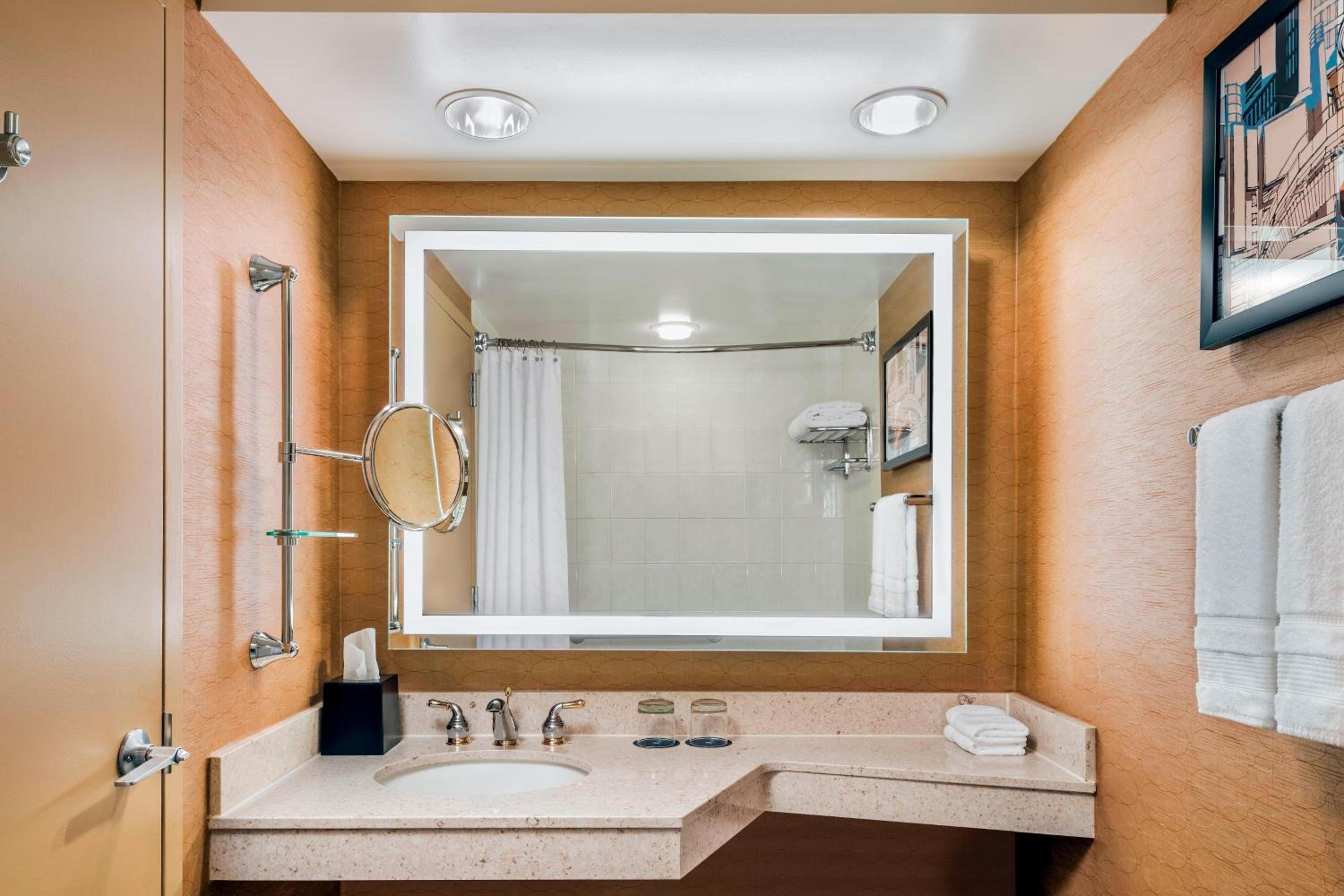 Traditional, Guest room, 1 King - Photo 3