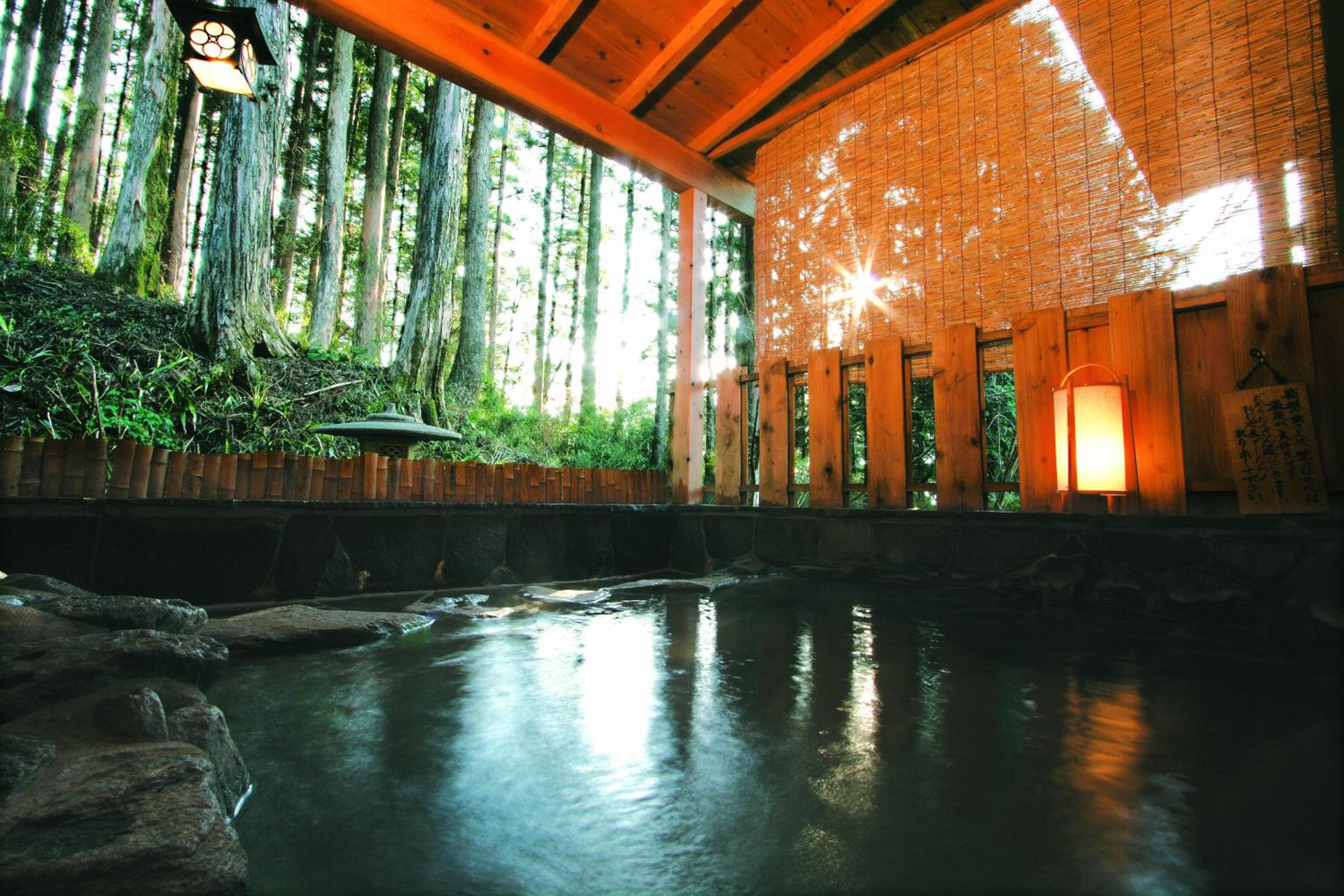 Room Selected at Check-In with Open-Air Bath photo 3