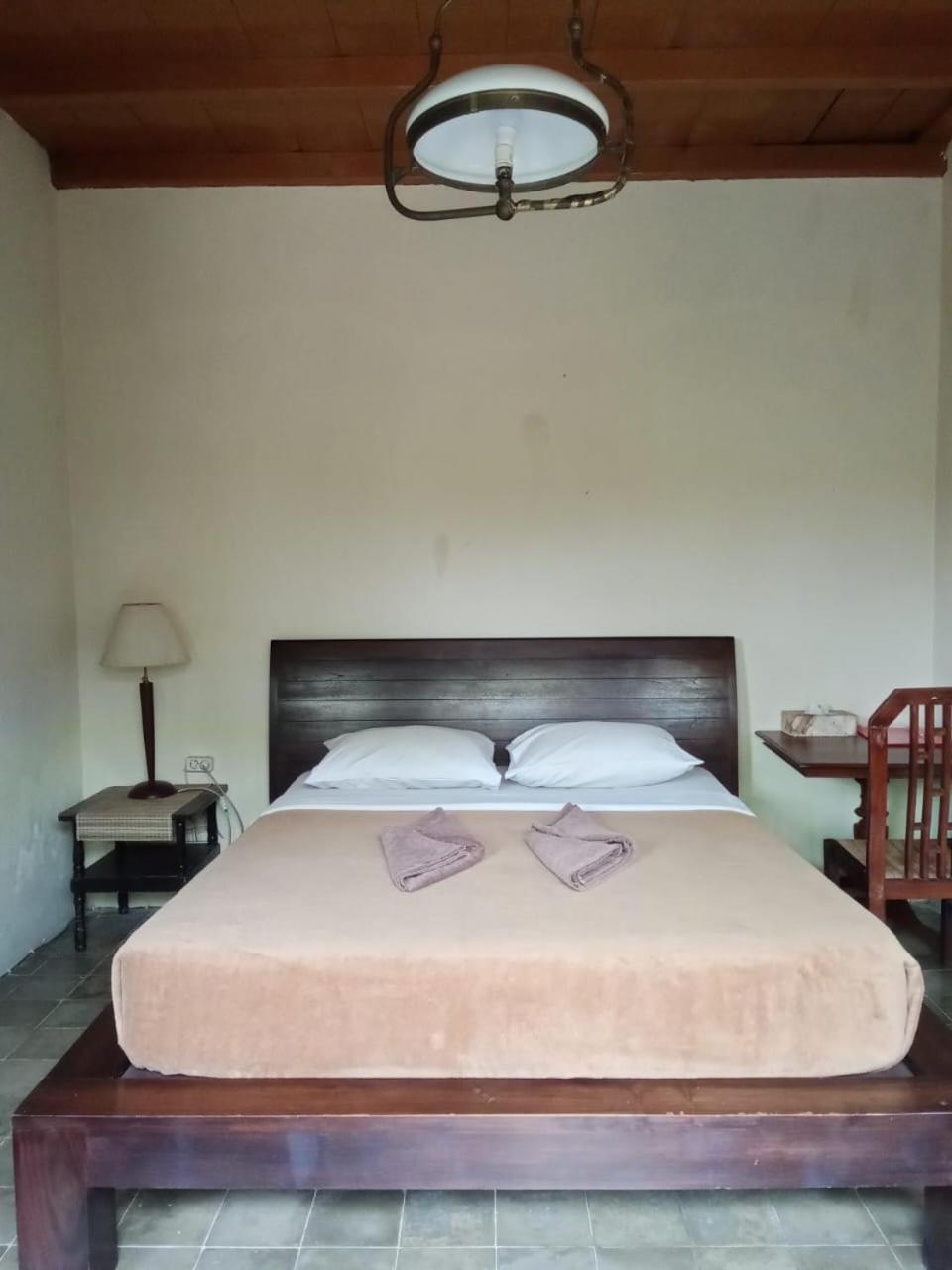 Standard Family Room - Photo 7