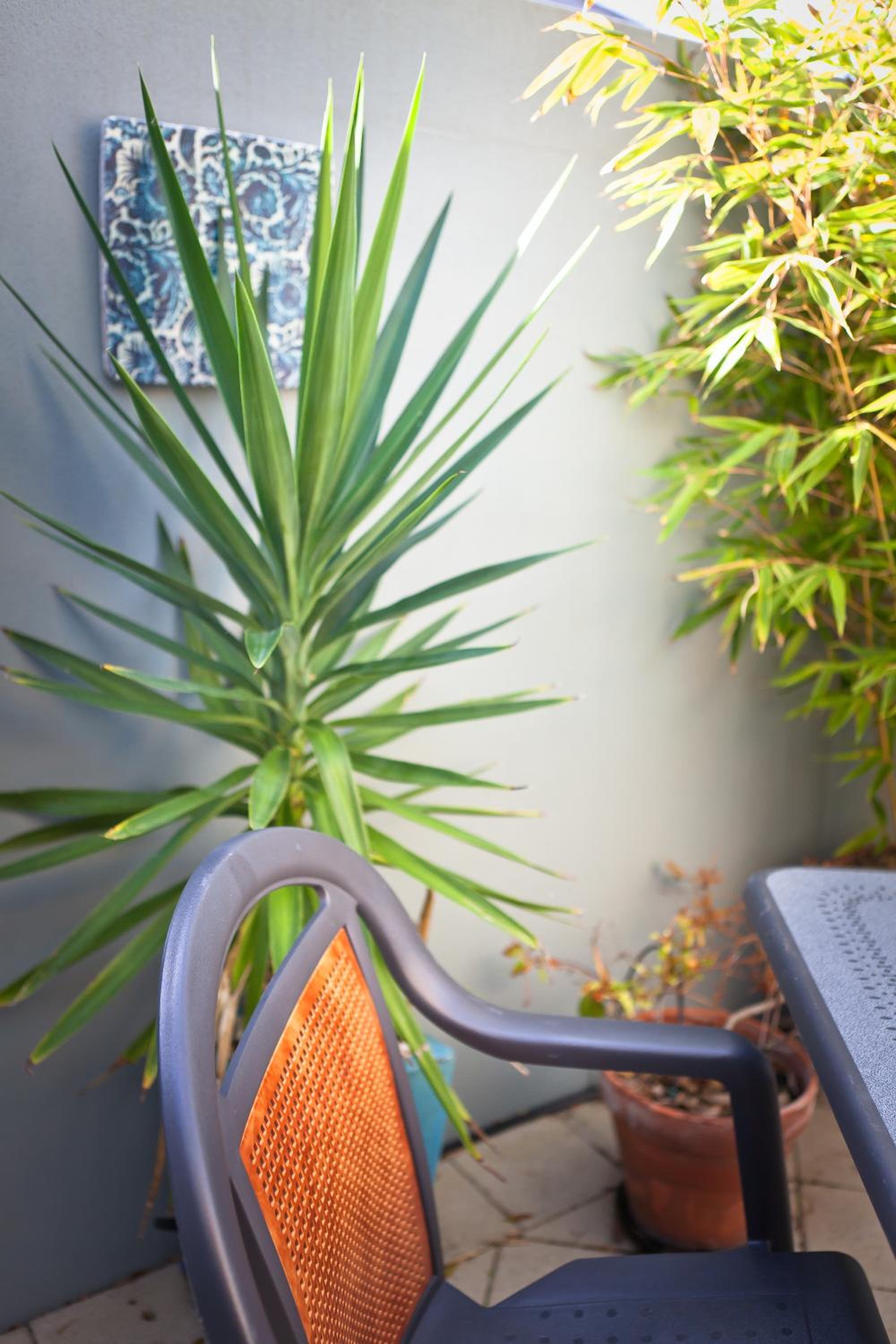 One-Bedroom Garden Suite - Photo 4
