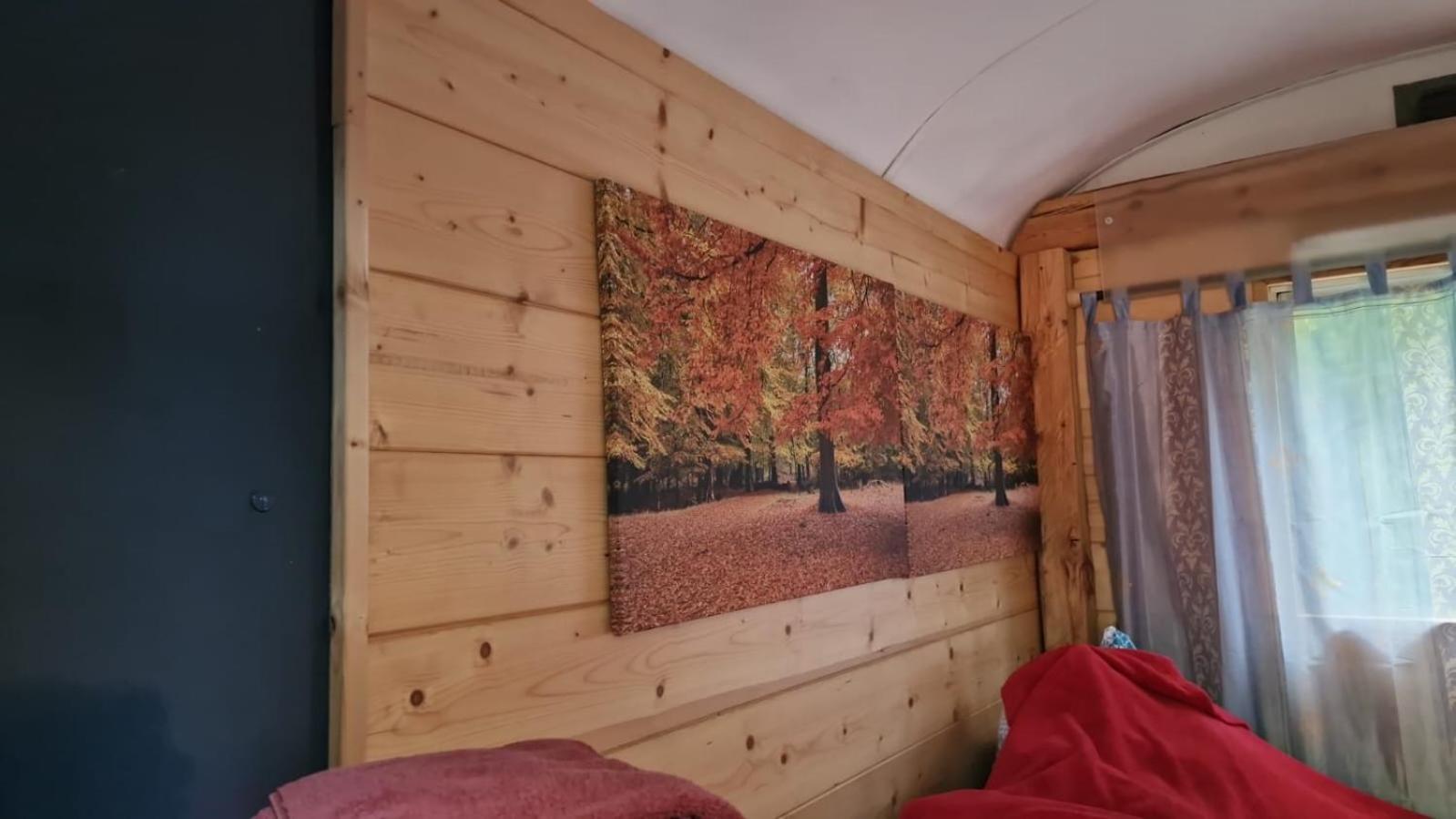 Mobile Home photo 1